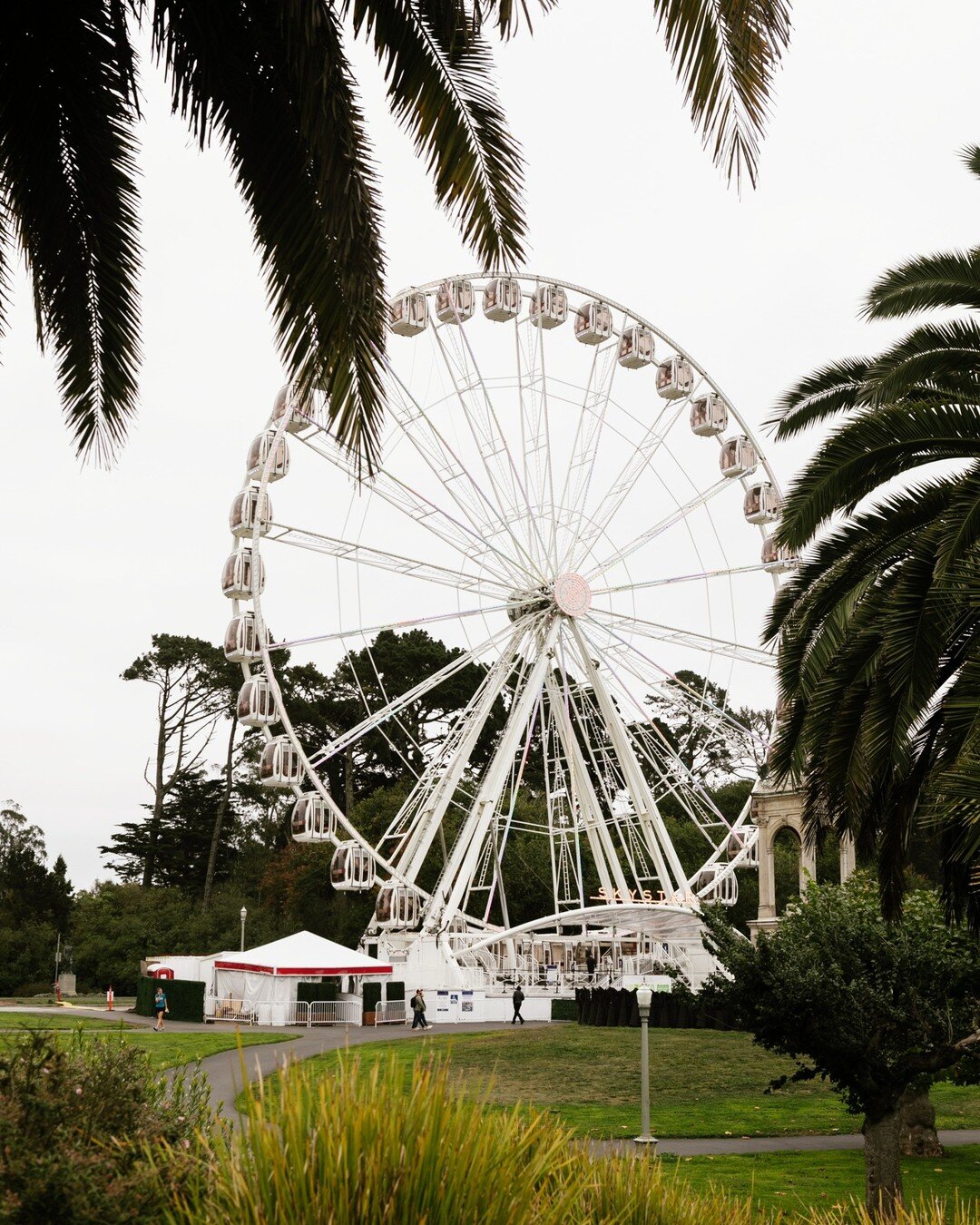 Was stopped in my tracks by the SkyStar ferris wheel in Golden Gate Park last weekend. I knew of it (and then, to be honest, kinda forgot about it), but seeing it in person was incredible and surprisingly joyful. It shot up to the top of my list of t