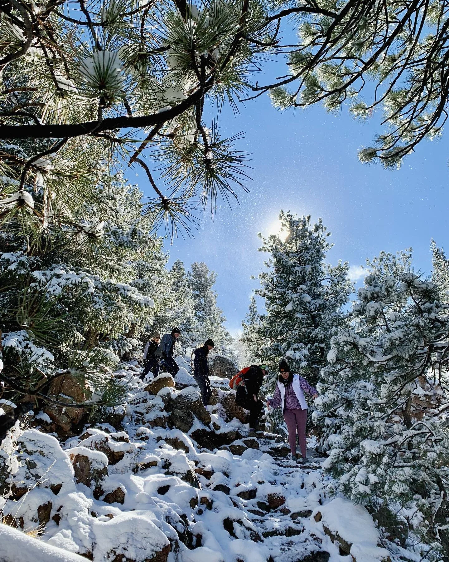 Unexpected but delightfully snowy early November in Colorado. Like no hike I&rsquo;ve ever been on before
