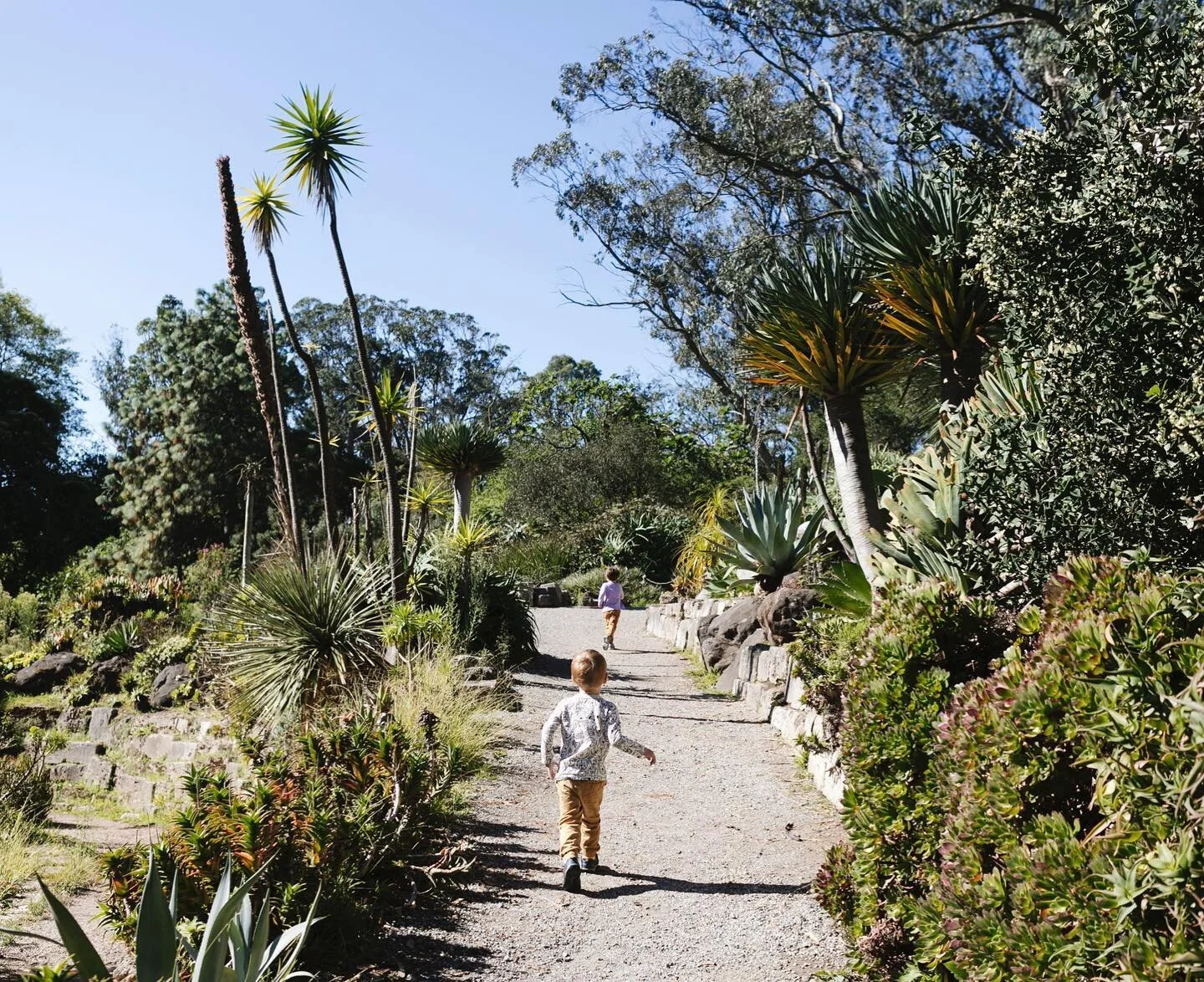 Have to embrace the running when you&rsquo;re photographing young kiddos with lots of energy and paths to explore
