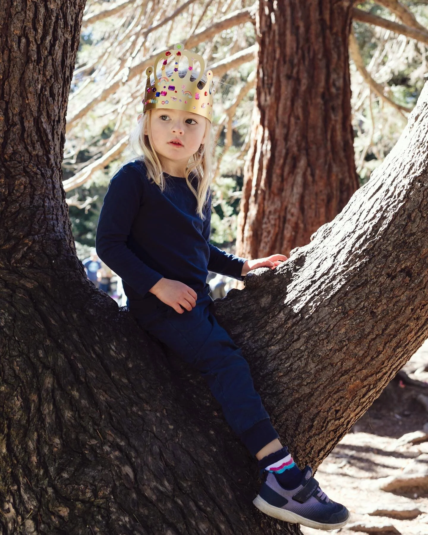 So far age 4 has been fearless and fewer breakdowns, loving it