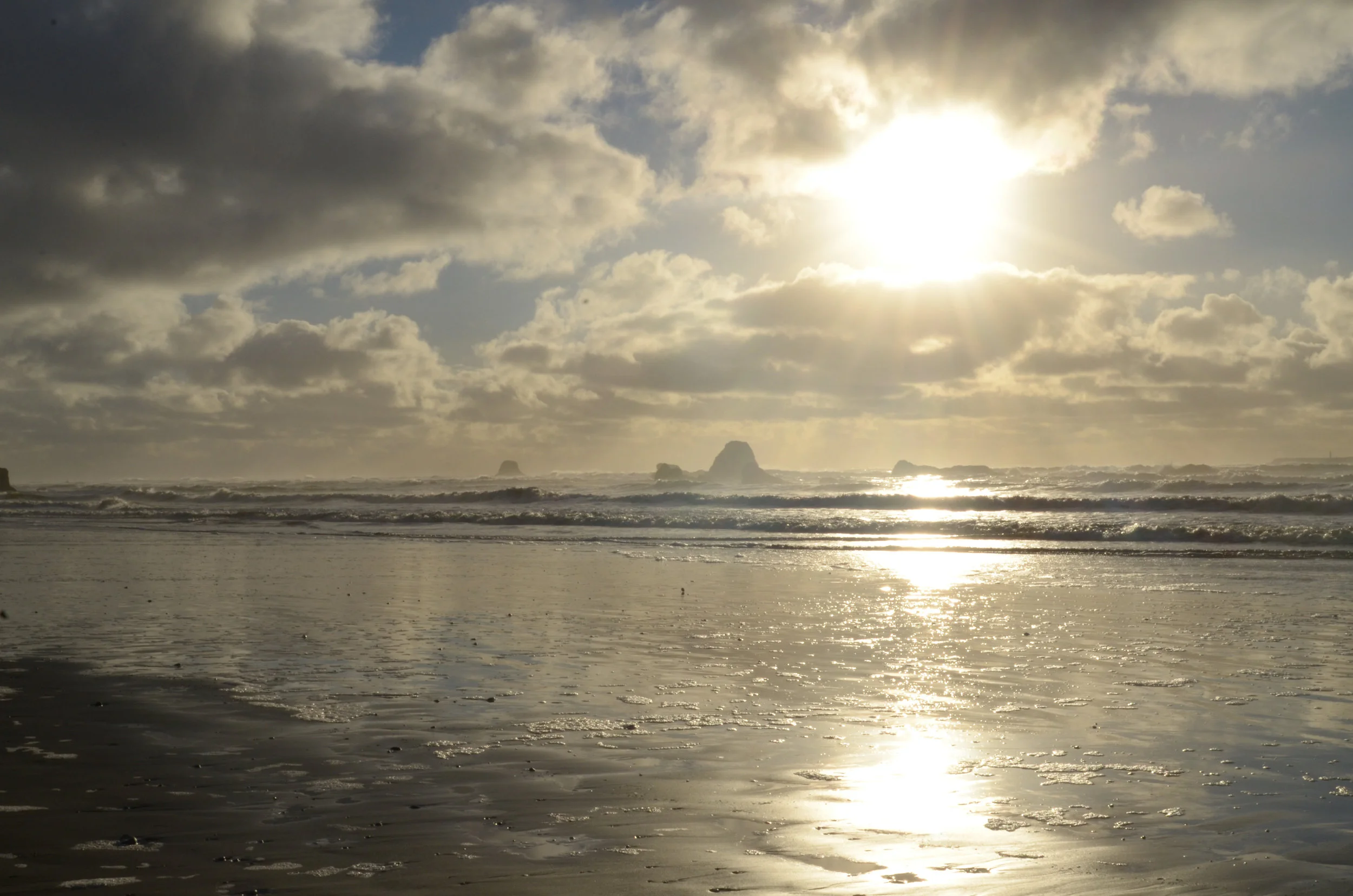 Best Coast-15.jpg
