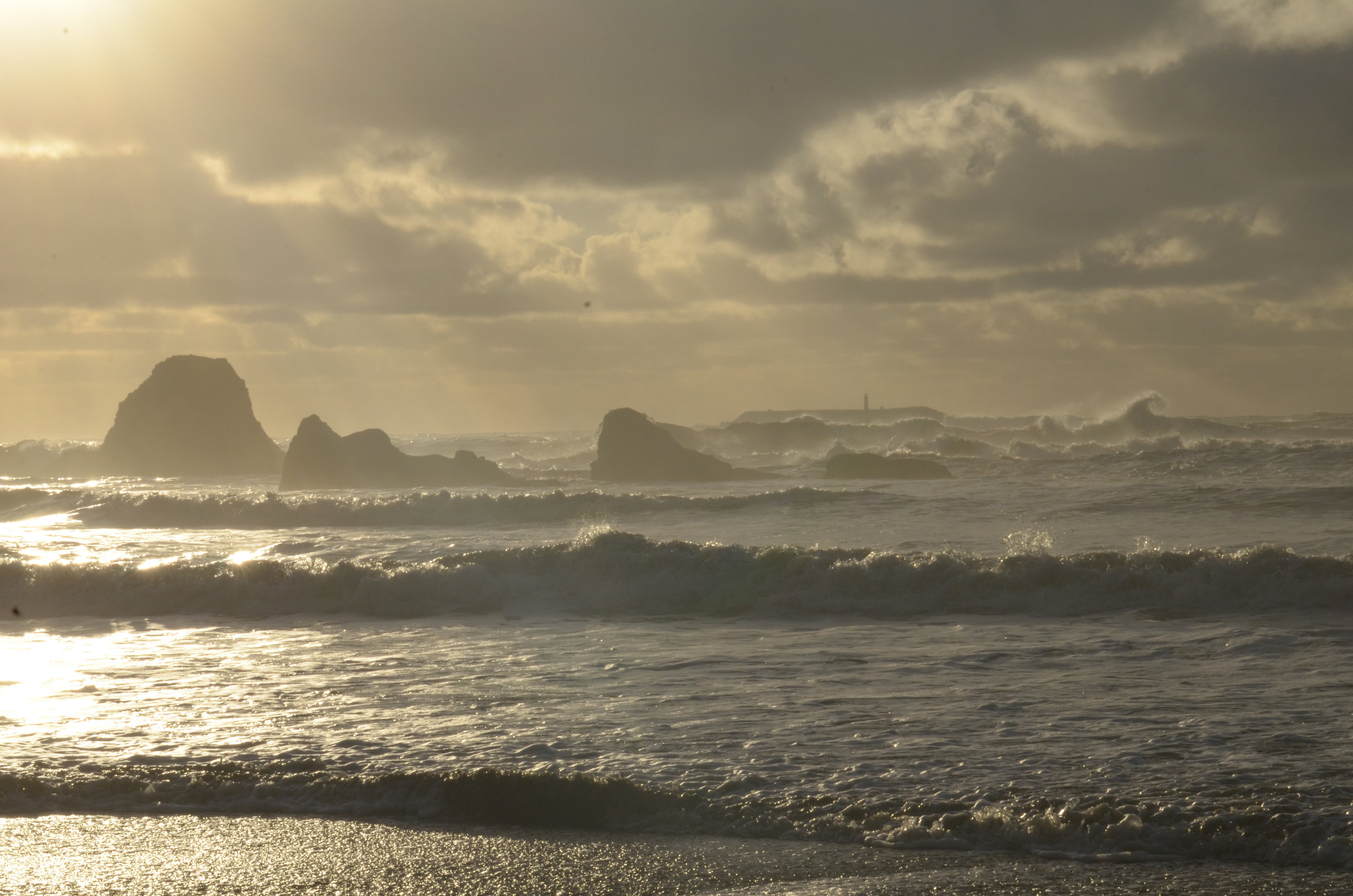 Best Coast-16.jpg