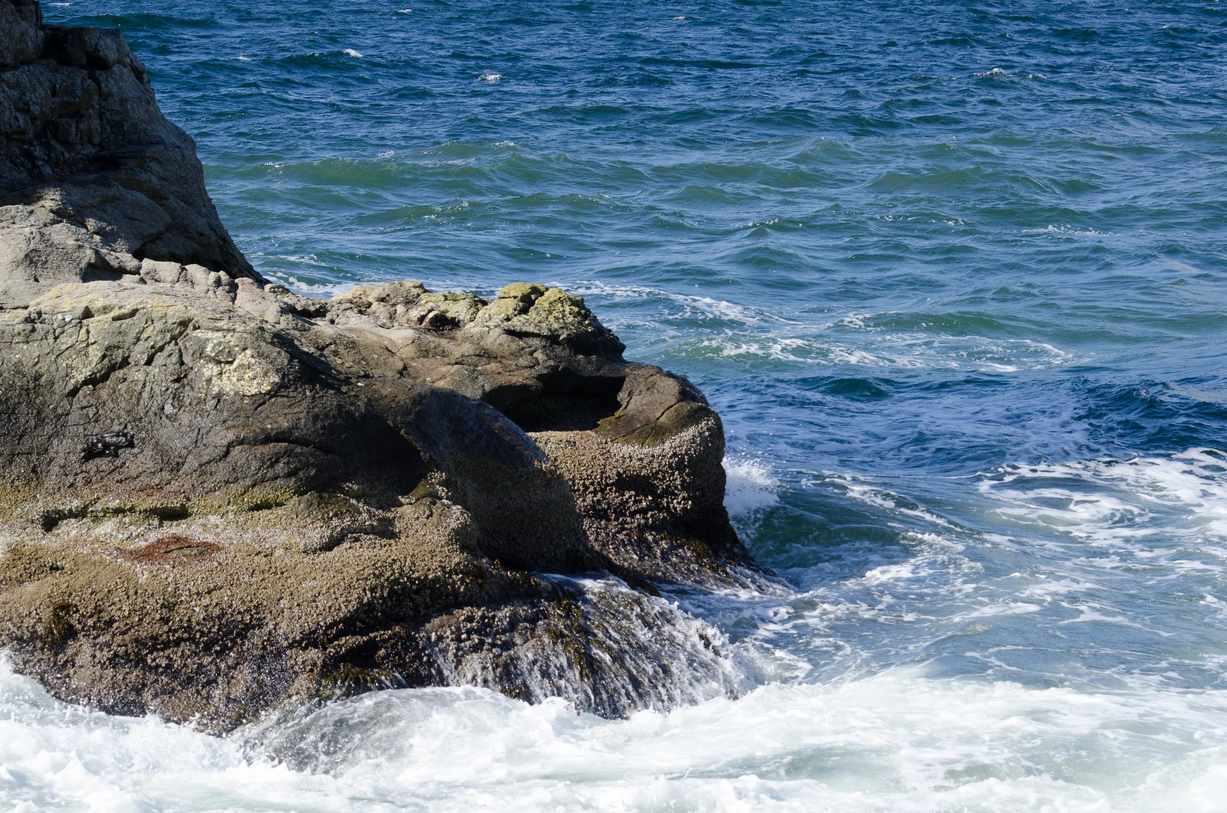 Best Coast-28.jpg