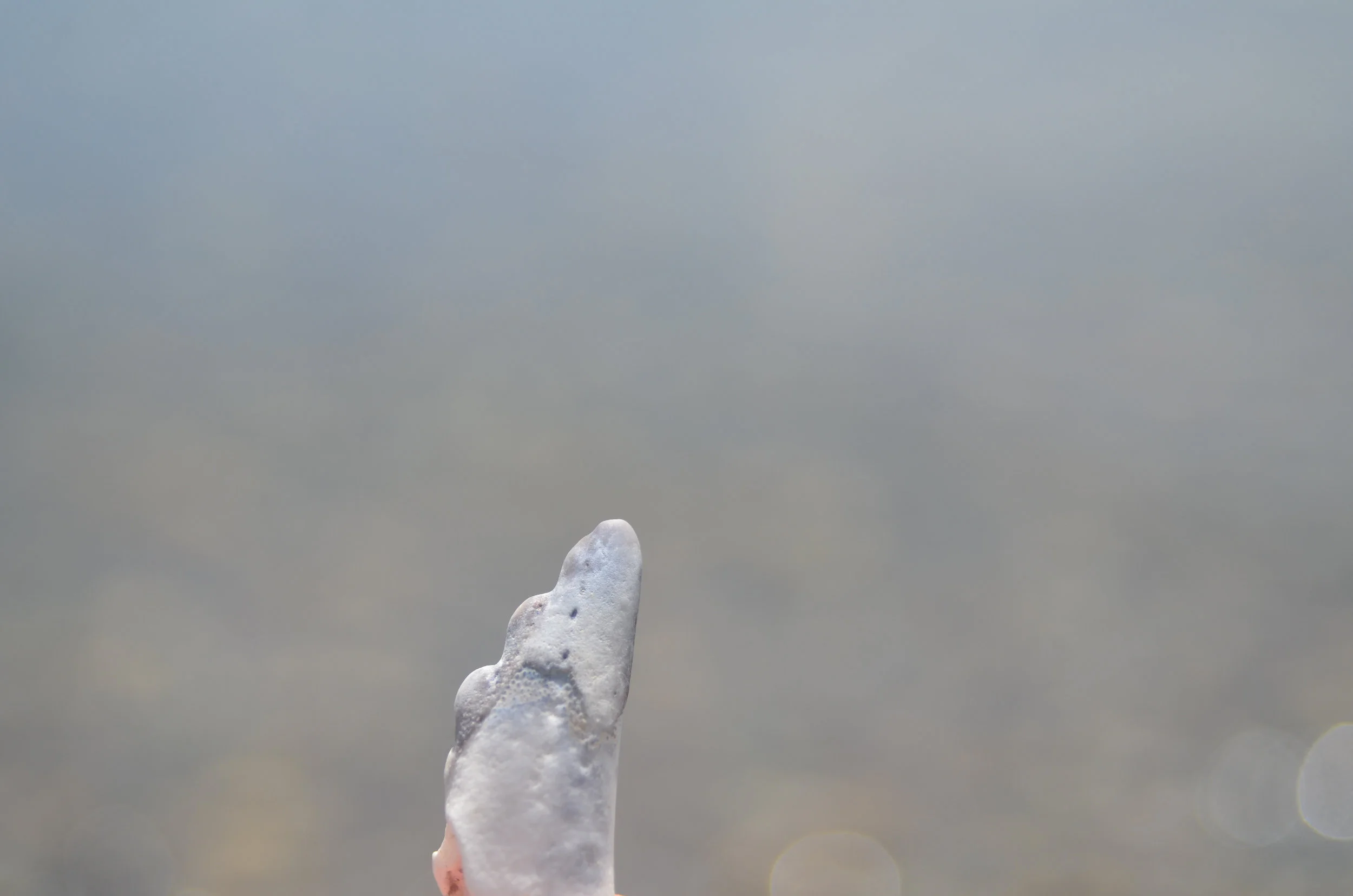 Blue Grey-4.jpg