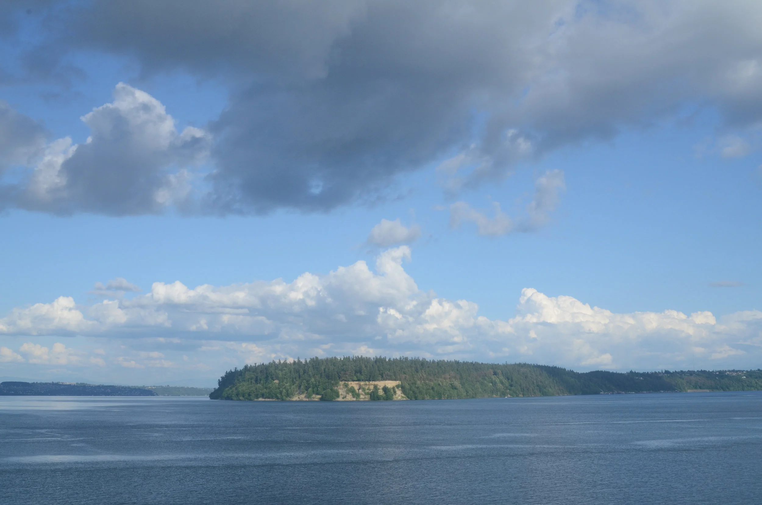 Blue Grey-6.jpg
