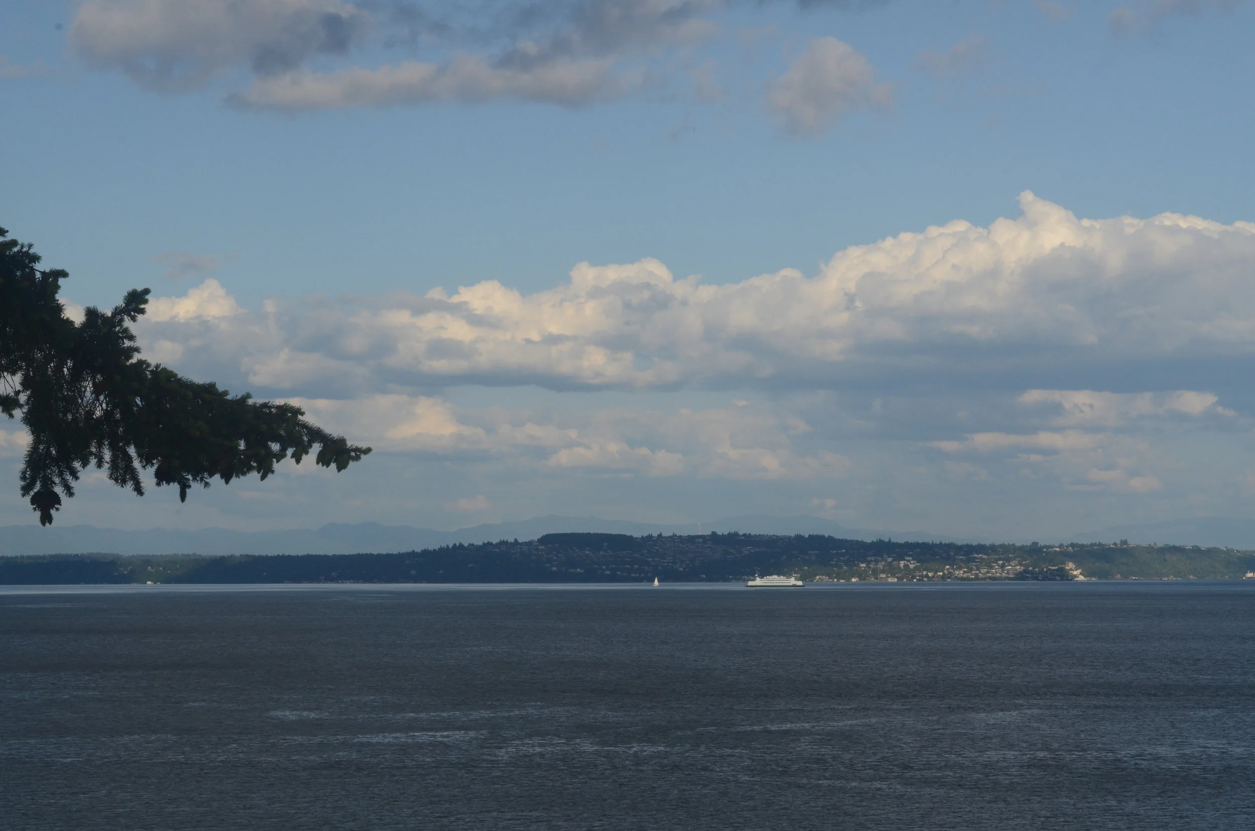 Blue Grey-8.jpg