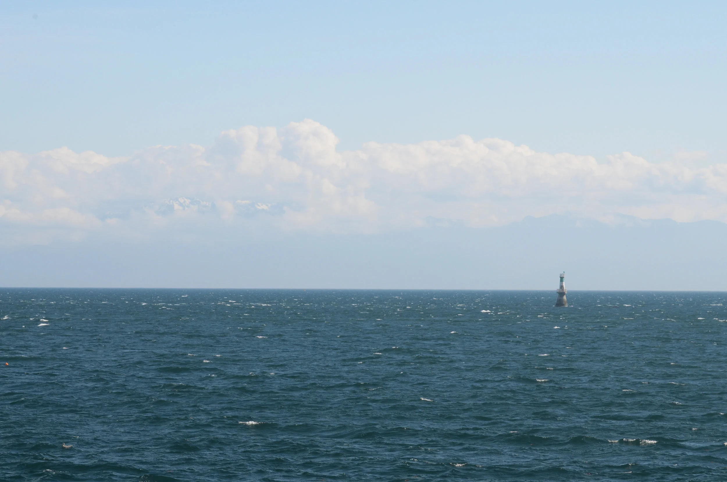 Blue Grey-11.jpg