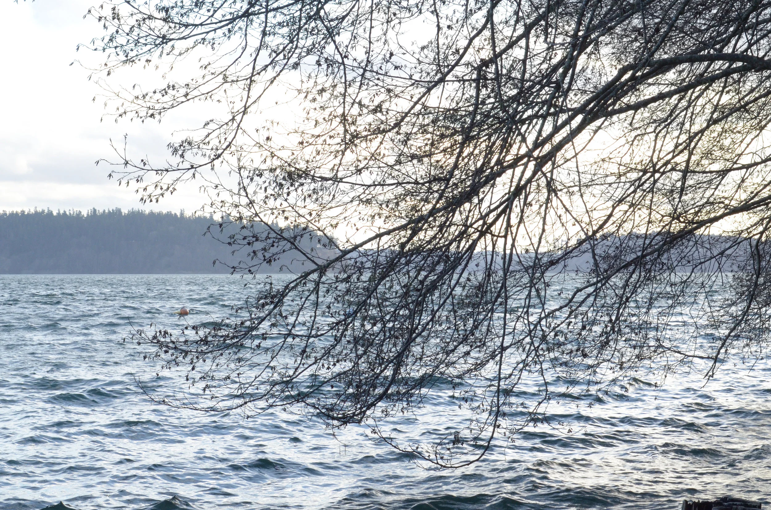 Blue Grey-14.jpg