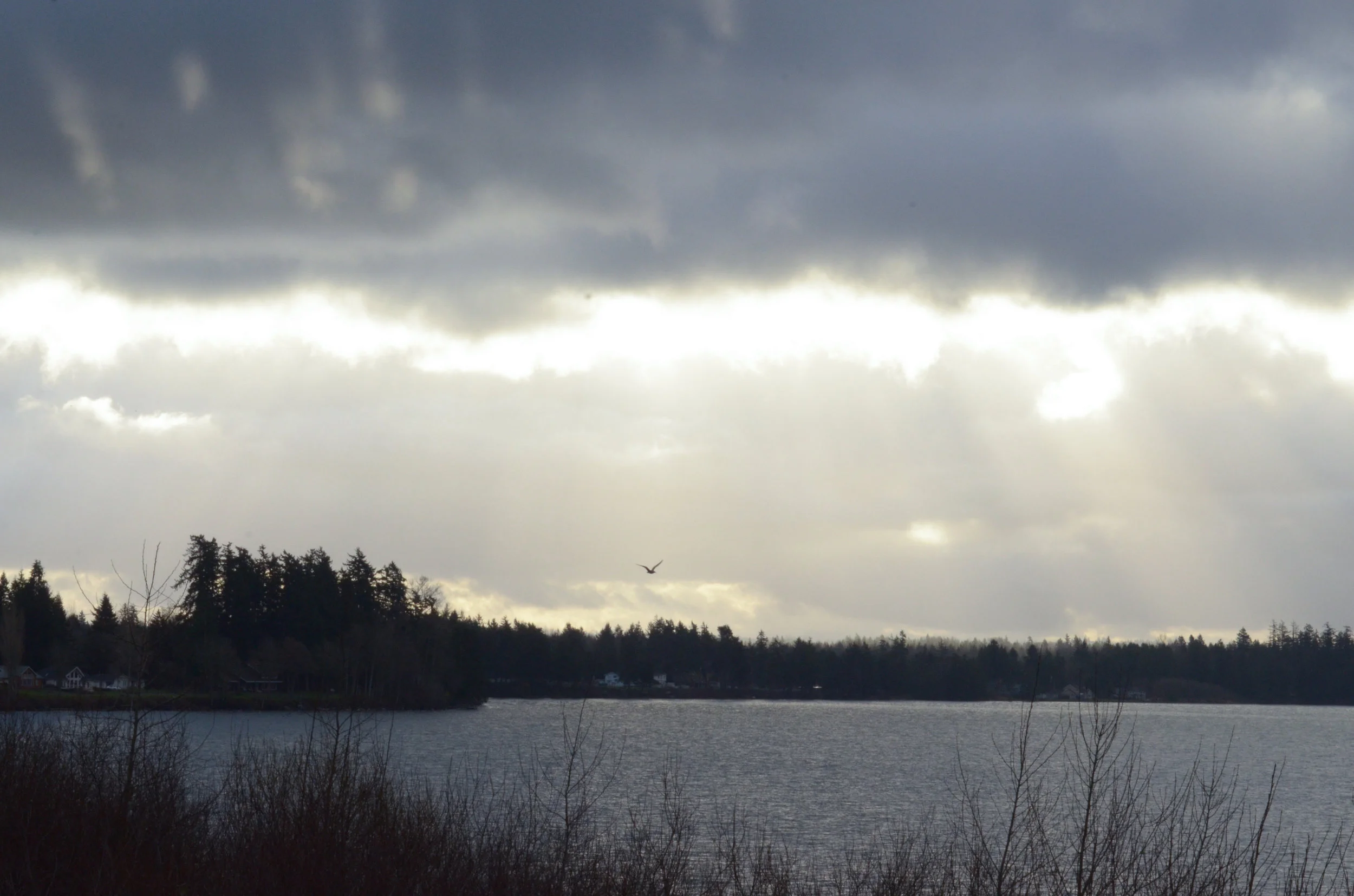 Blue Grey-18.jpg