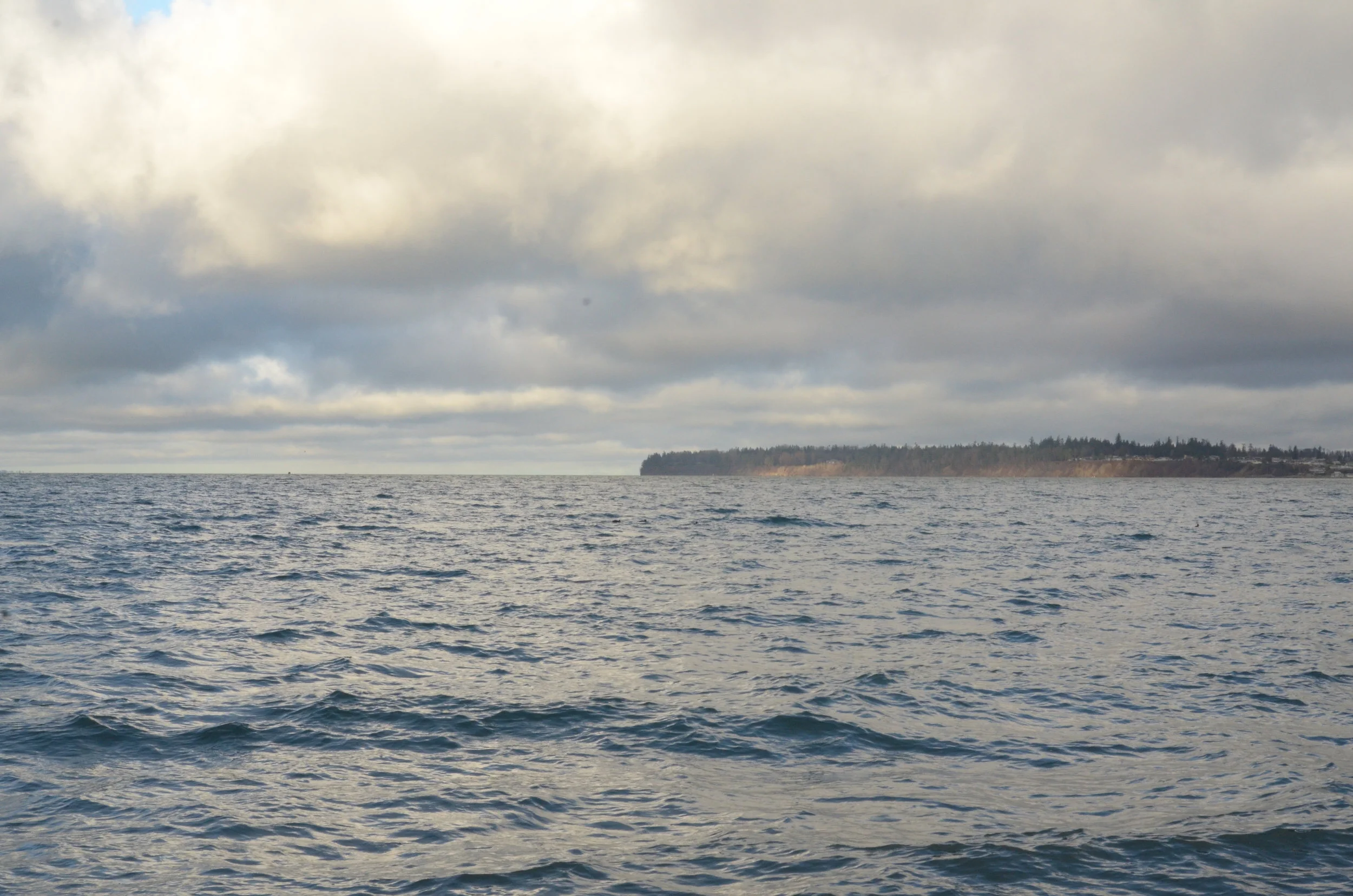 Blue Grey-19.jpg