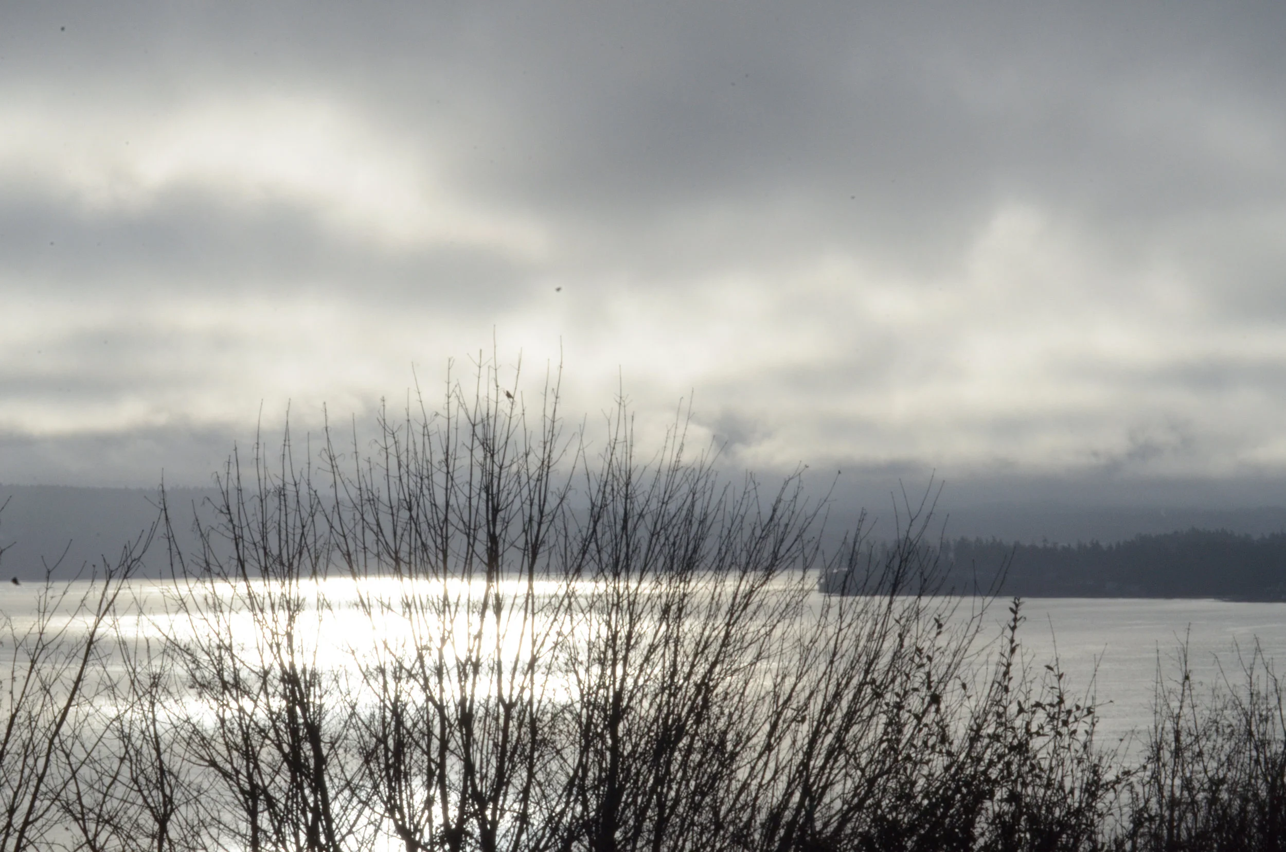 Blue Grey-22.jpg