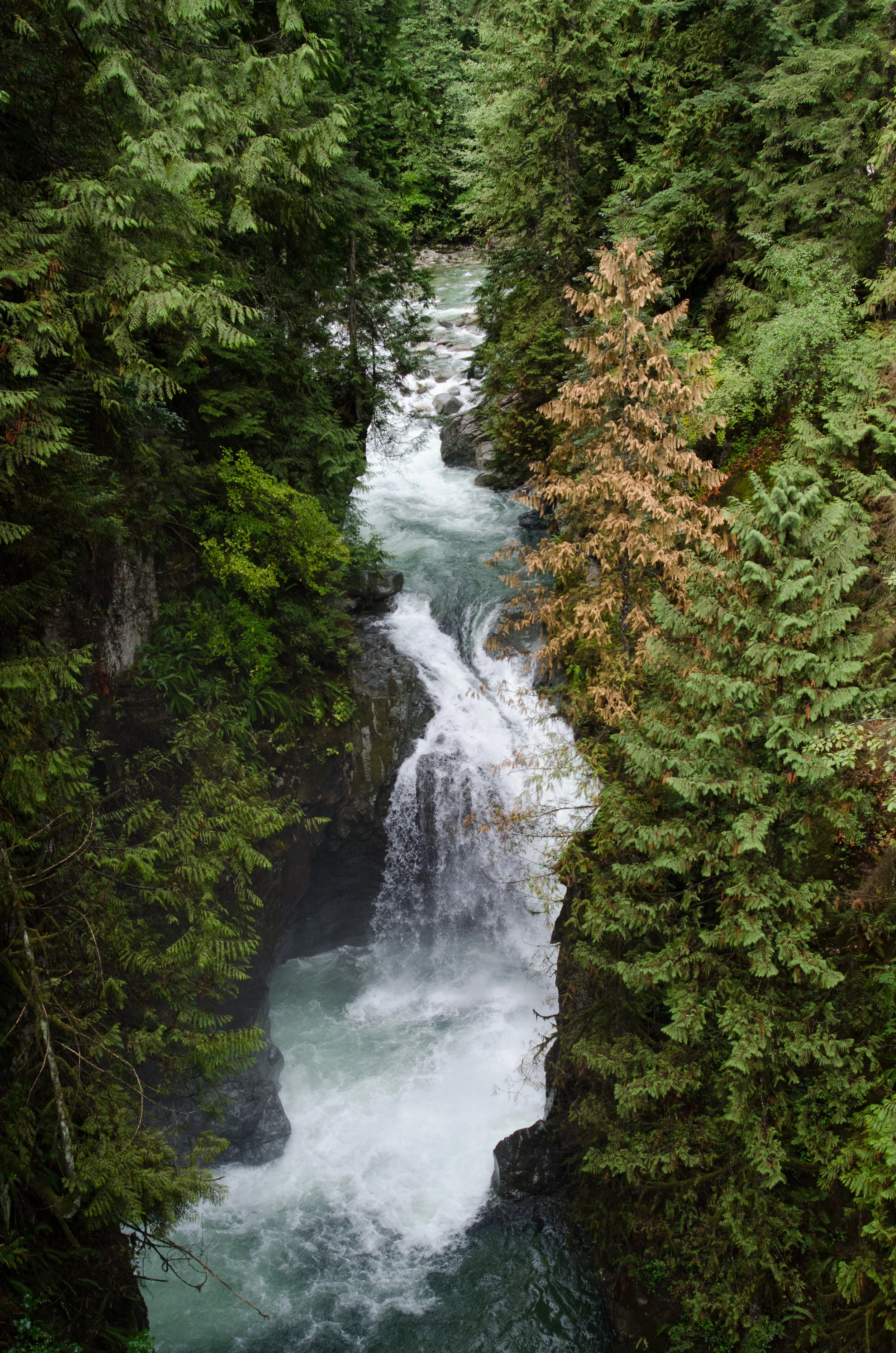Green-10.jpg