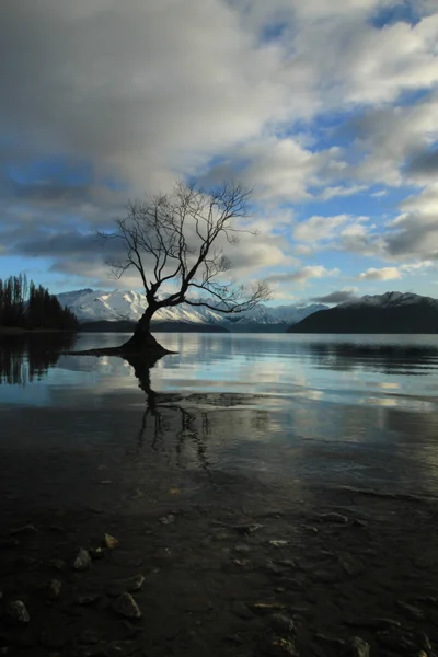 Early Morning at Lake Wanaka