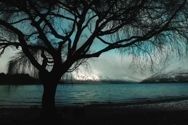 Lake Wakatipu