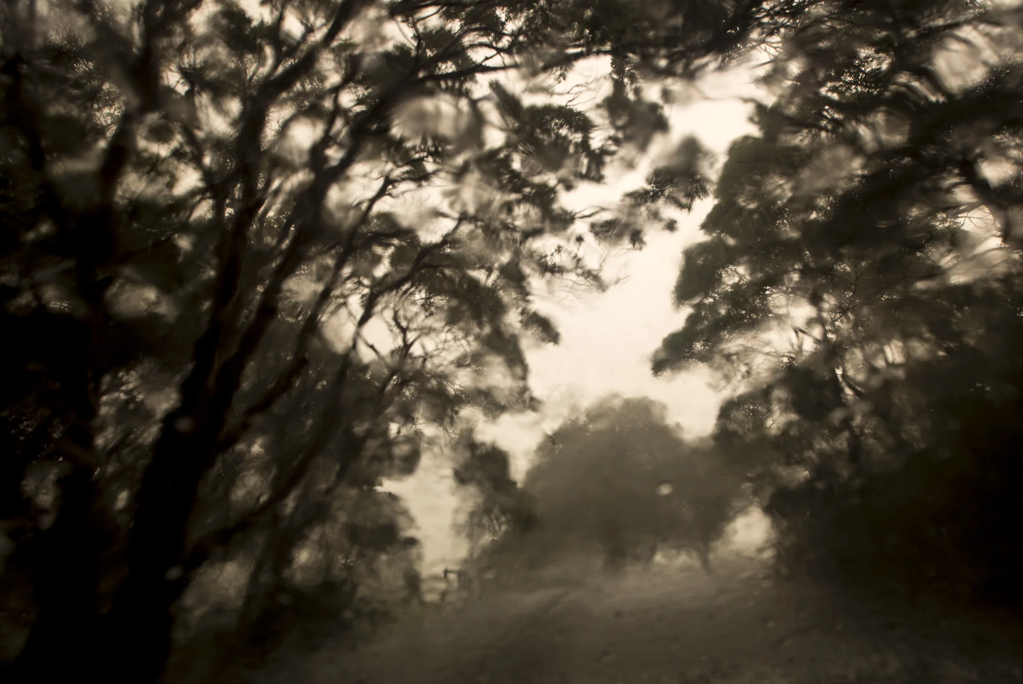 Caught in the storm at Bradley's Head..
