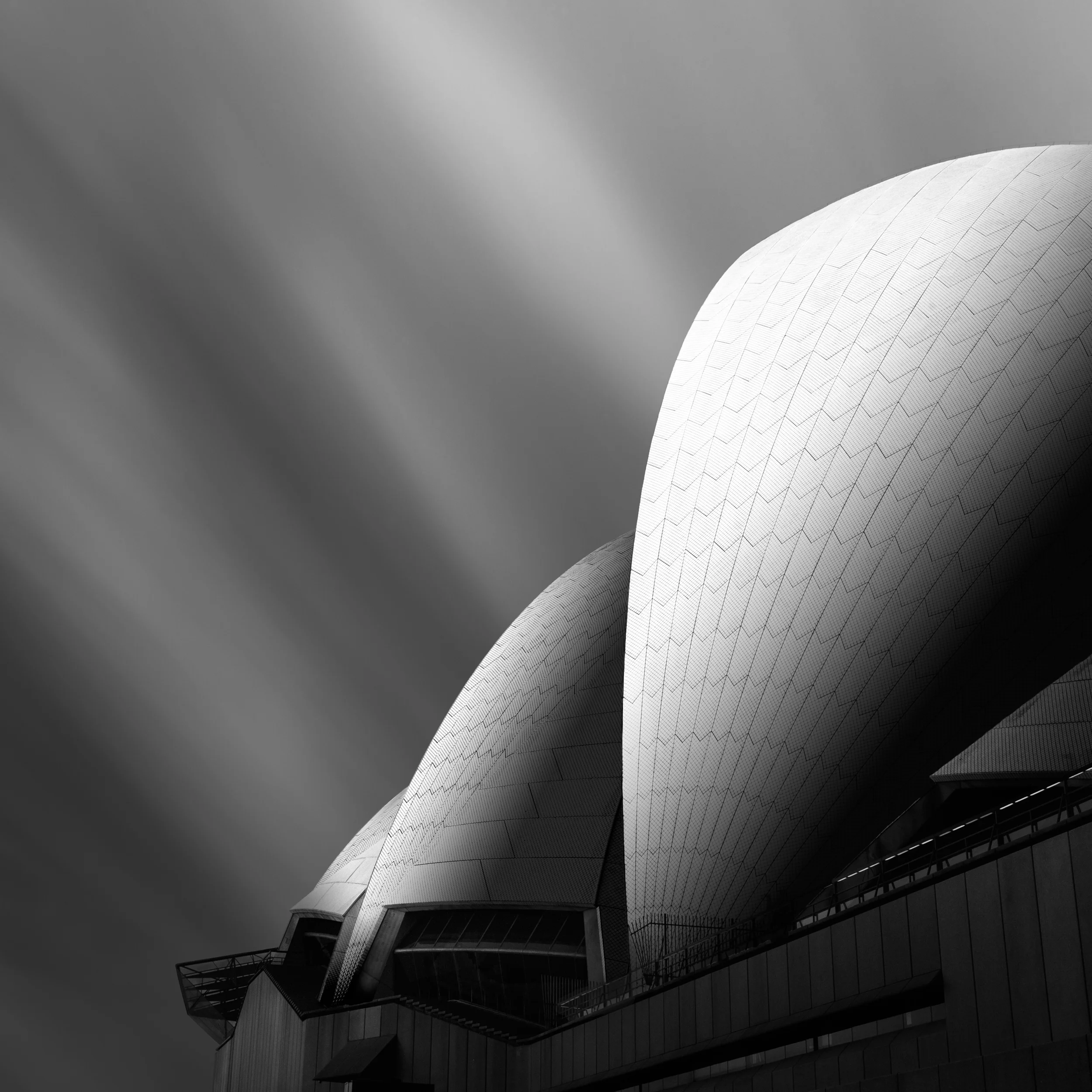 "Sails" by Pamela Pauline 2015