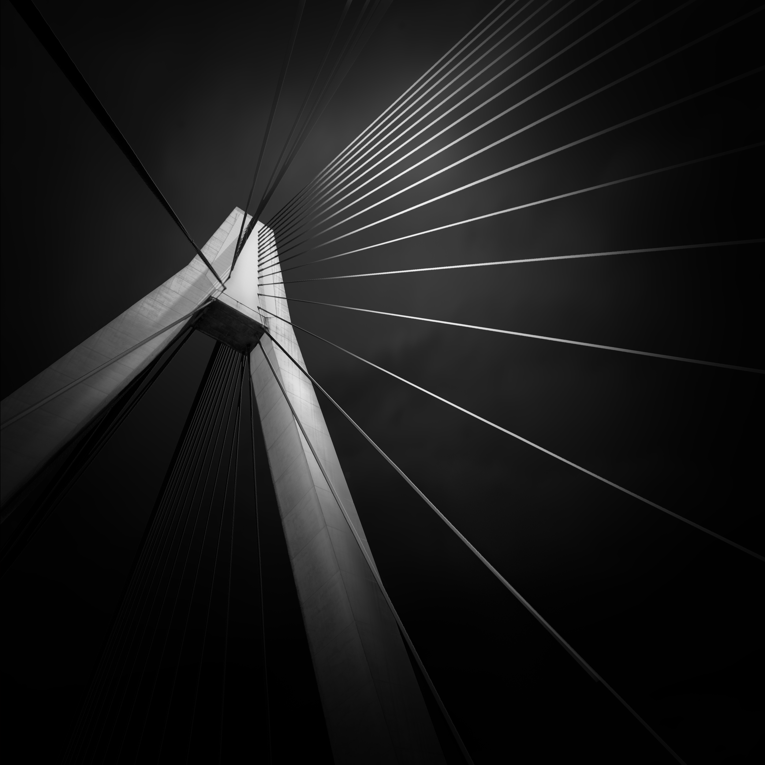 "Anzac Highwire" by Pamela Pauline 2015