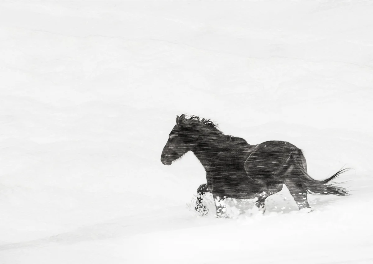 White Out