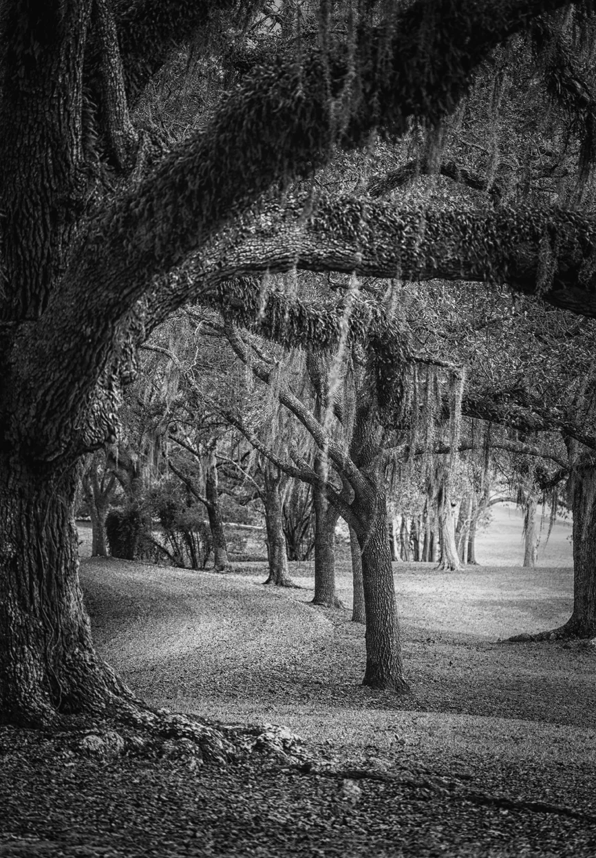 15 - The Road