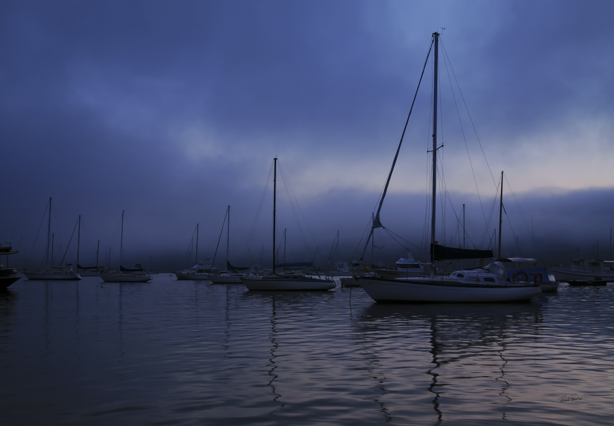 wardpittwater6web.jpg