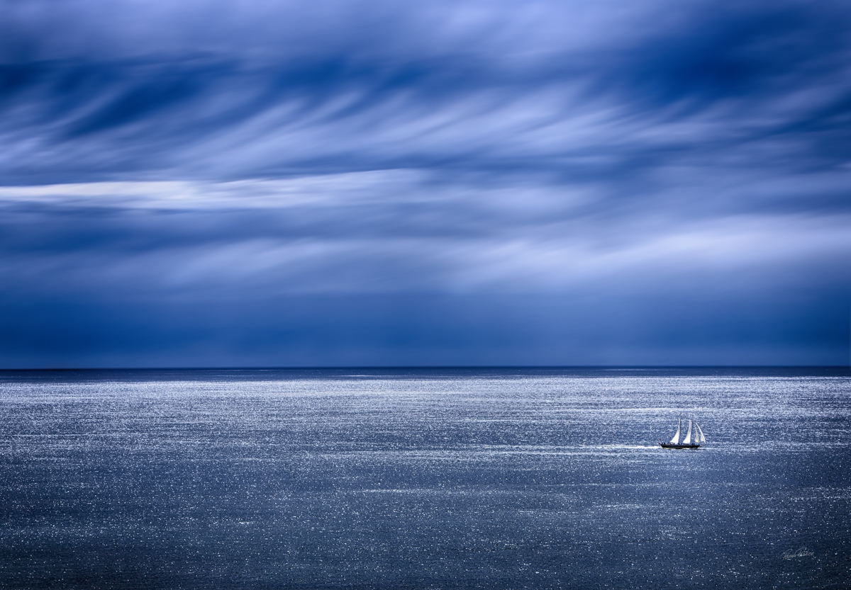 wardsail2web.jpg