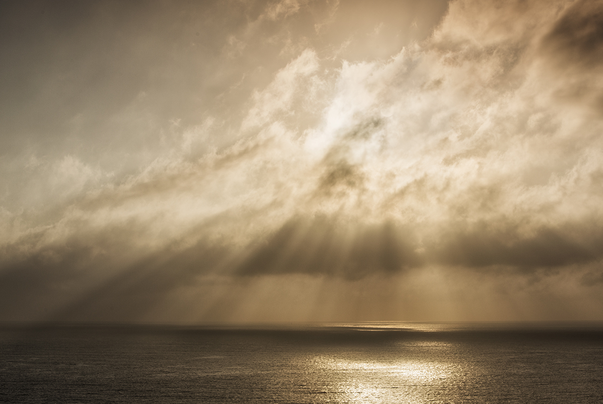 Morning Glory