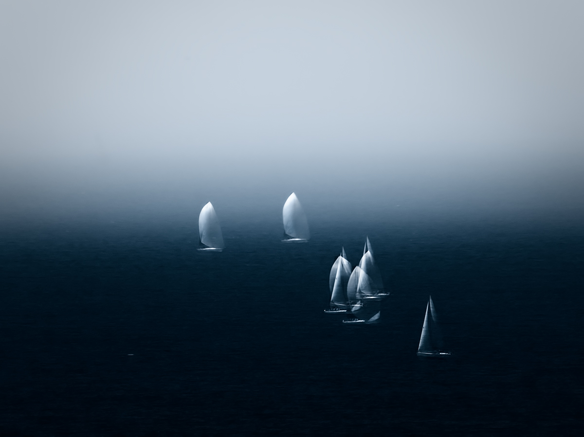 My AddOn Image entitled Race Day @ Pamela Pauline