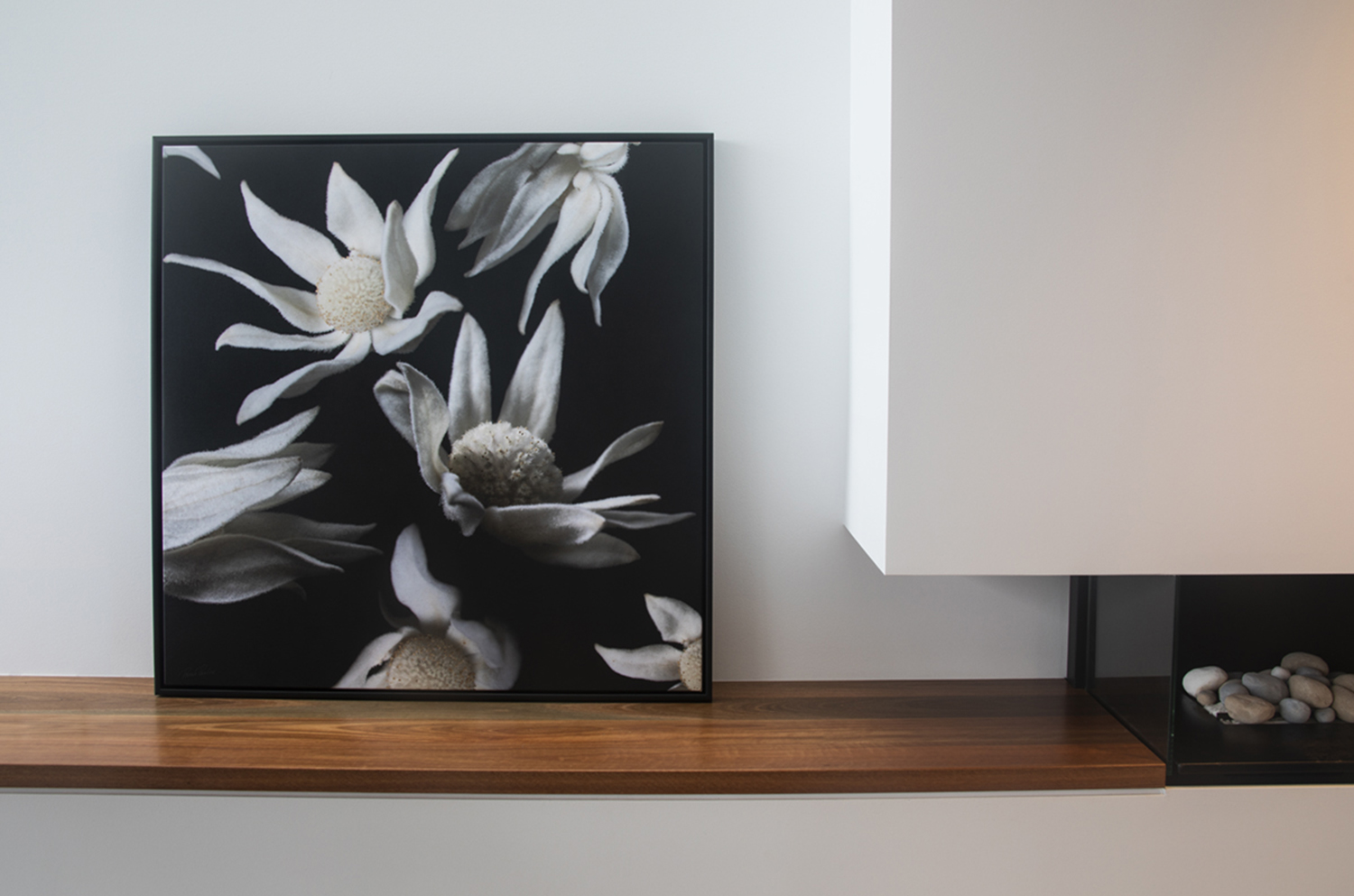 Flannel Flowers with 3 inch Deep Floating Box Frame