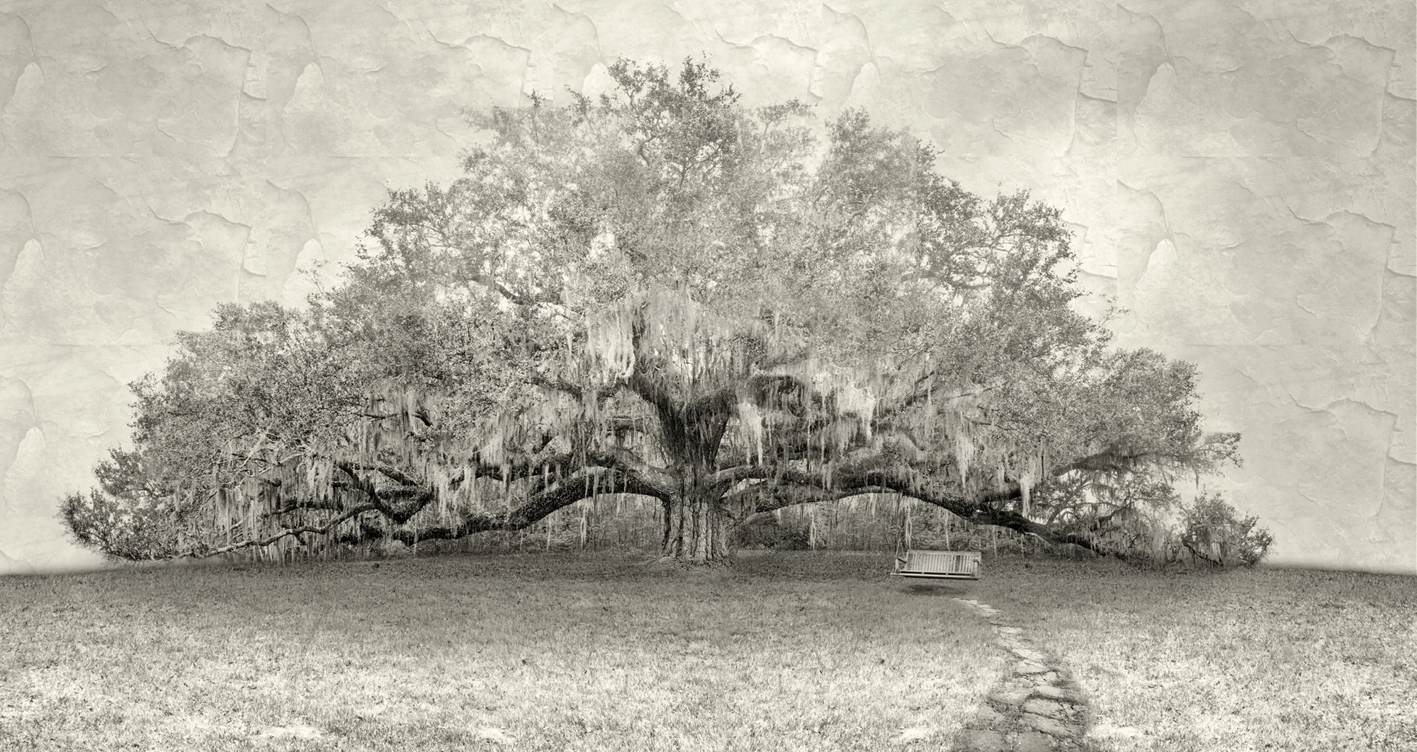 Live Oak Bench Bw