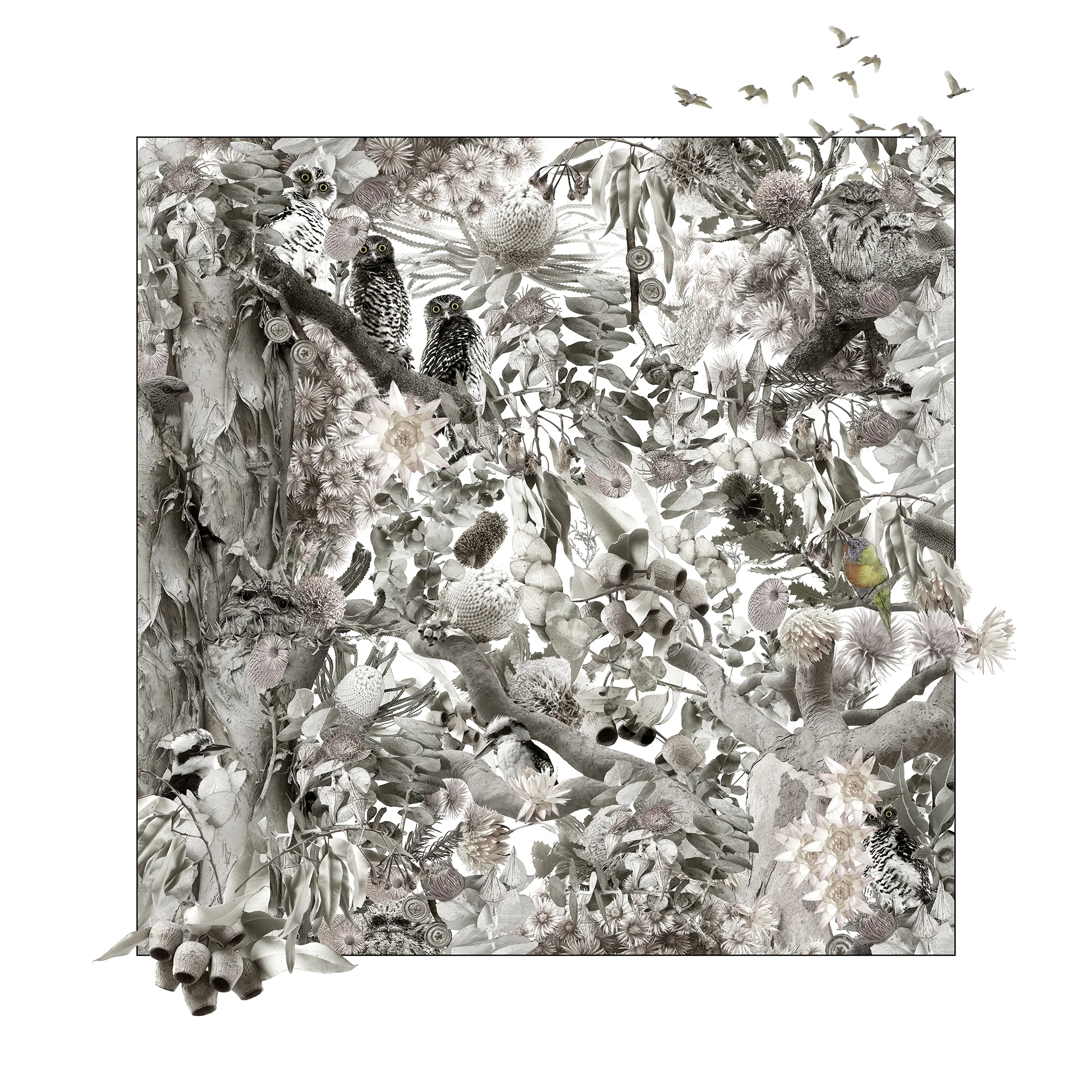 I’ll Fly Away , Edition of 10 @ 40”x40