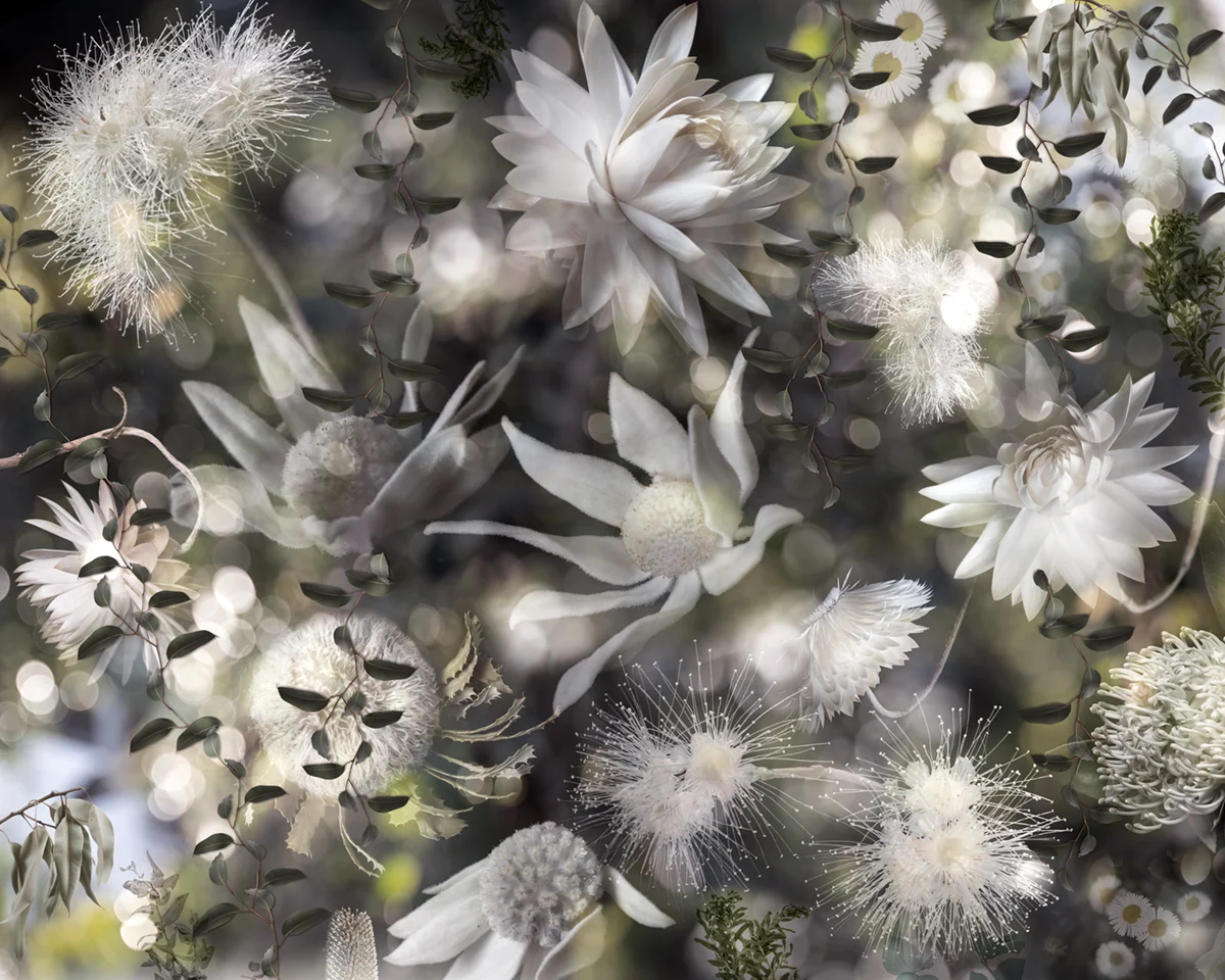 Floral Forest