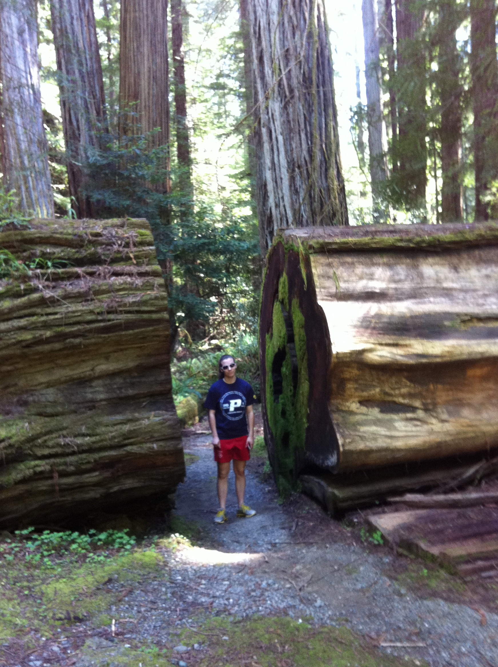 Trail builders needed a “breakthrough” to get past this huge log in Humboldt Redwoods State Park, CA.
0
0
1
18
97
REI
1
1
114
14.0
Normal
0
false
false
false
EN-US
JA
X-NONE
/* Style Definitions */
table.MsoNormalTable
{mso-style-name:"Table Normal";
mso-tstyle-rowband-size:0;
mso-tstyle-colband-size:0;
mso-style-noshow:yes;
mso-style-priority:99;
mso-style-parent:"";
mso-padding-alt:0in 5.4pt 0in 5.4pt;
mso-para-margin:0in;
mso-para-margin-bottom:.0001pt;
mso-pagination:widow-orphan;
font-size:12.0pt;
font-family:Cambria;
mso-ascii-font-family:Cambria;
mso-ascii-theme-font:minor-latin;
mso-hansi-font-family:Cambria;
mso-hansi-theme-font:minor-latin;}