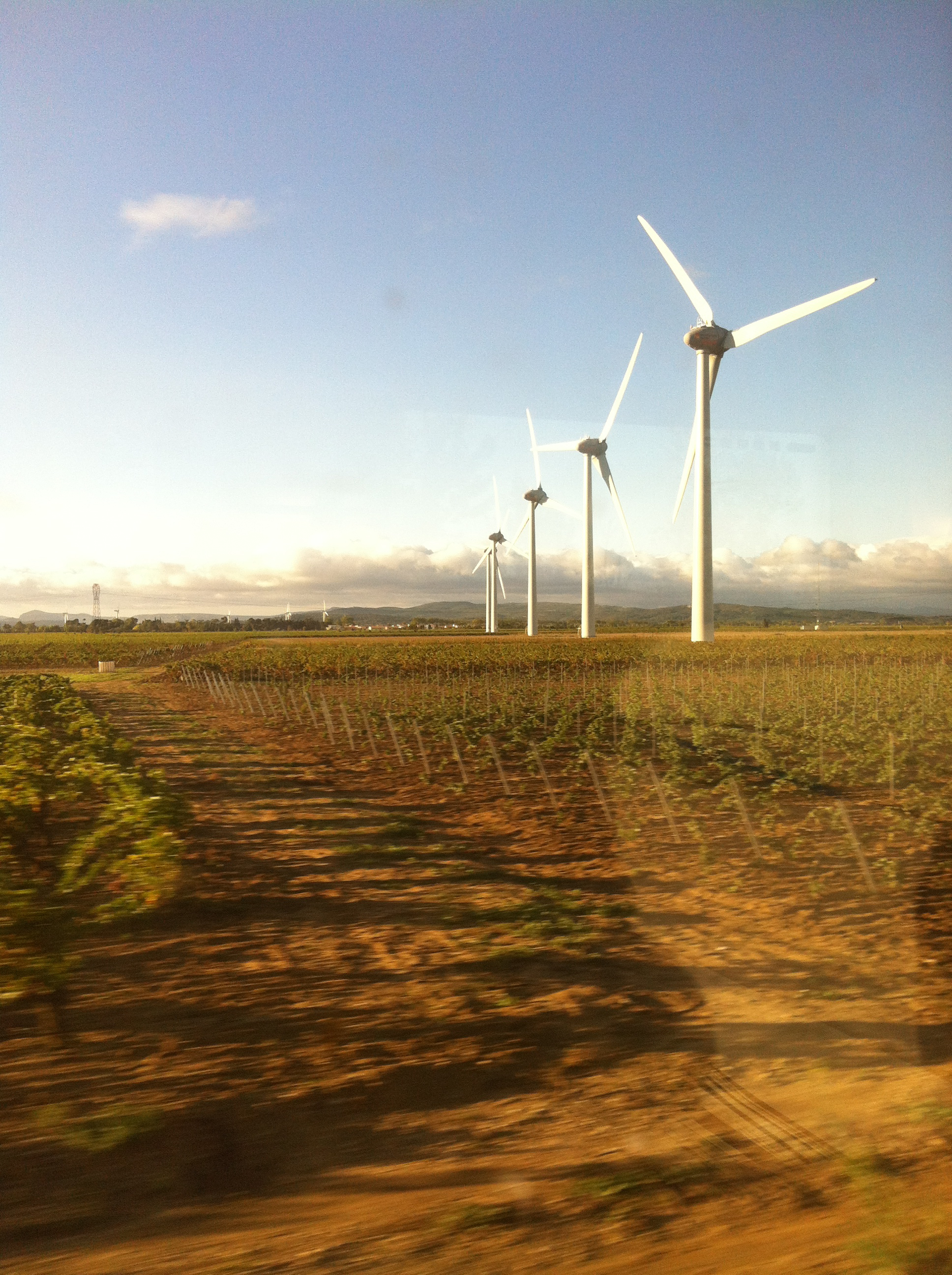 Wind turbines in a vineyard in southern France