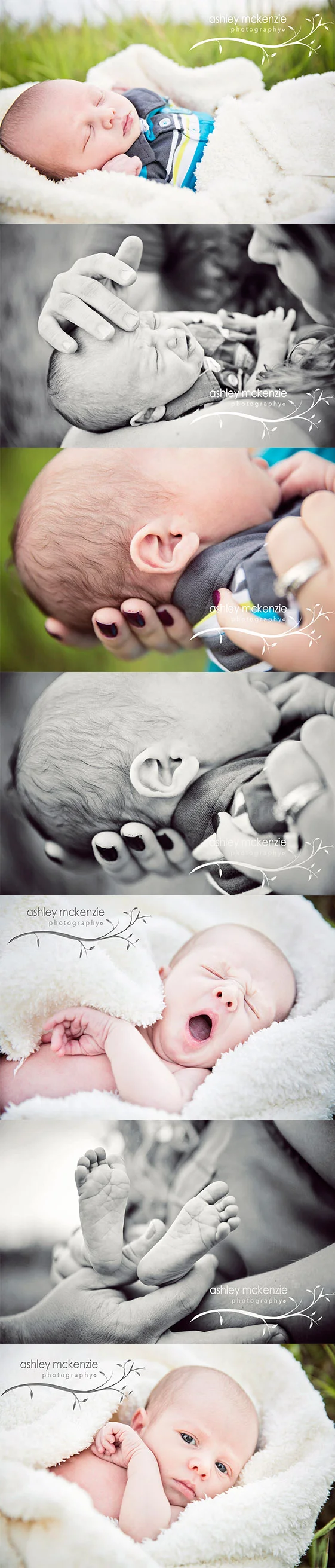 Newborn Photography By: Ashley McKenzie Photography in Northern Colorado 