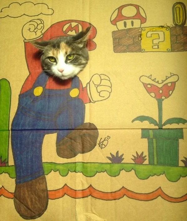 d293335d80b152f478e485bb4f1e0aeb-super-meow-rio.jpg