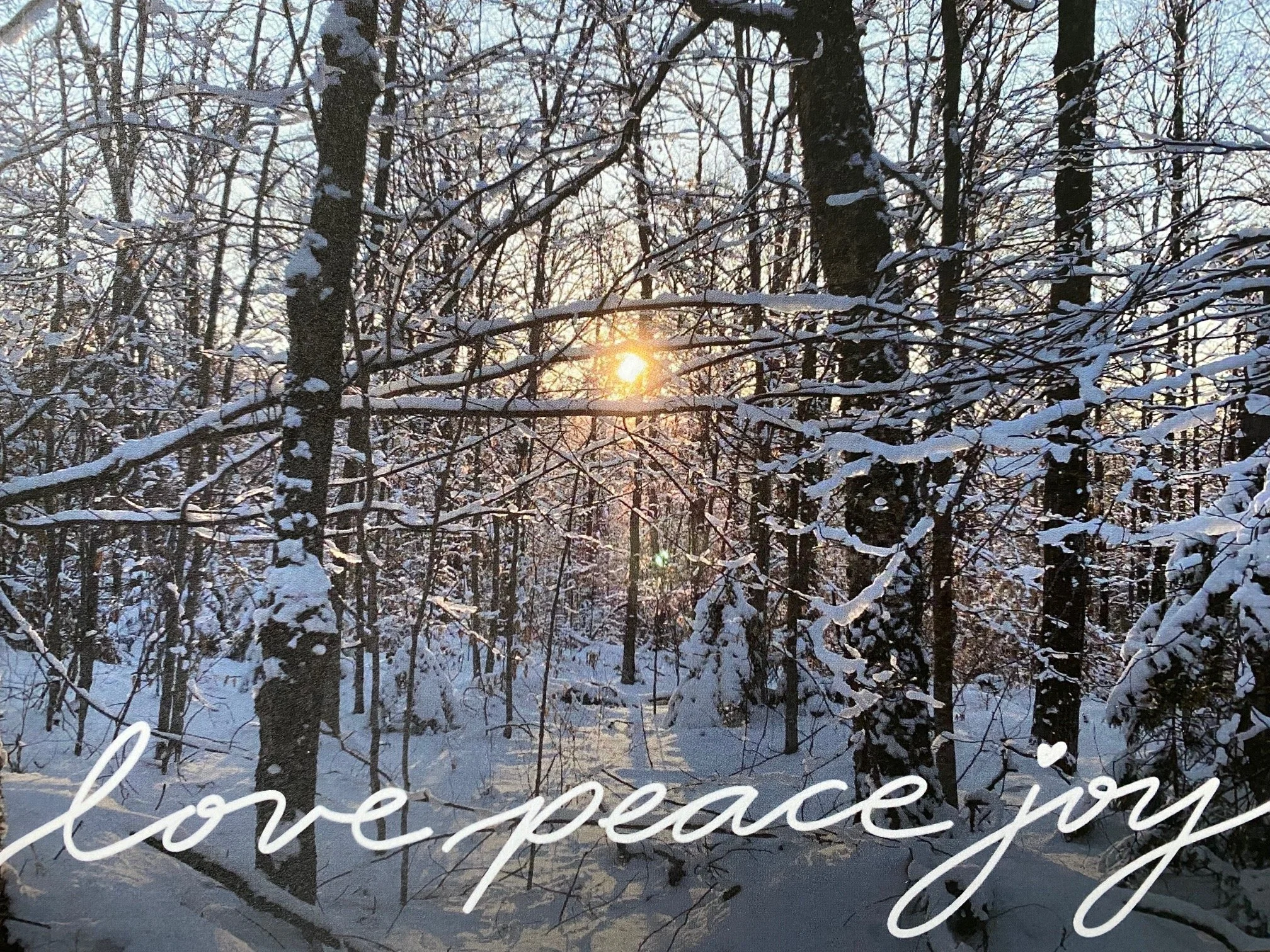 Looking Back on 2025: Celebrating What Went Right