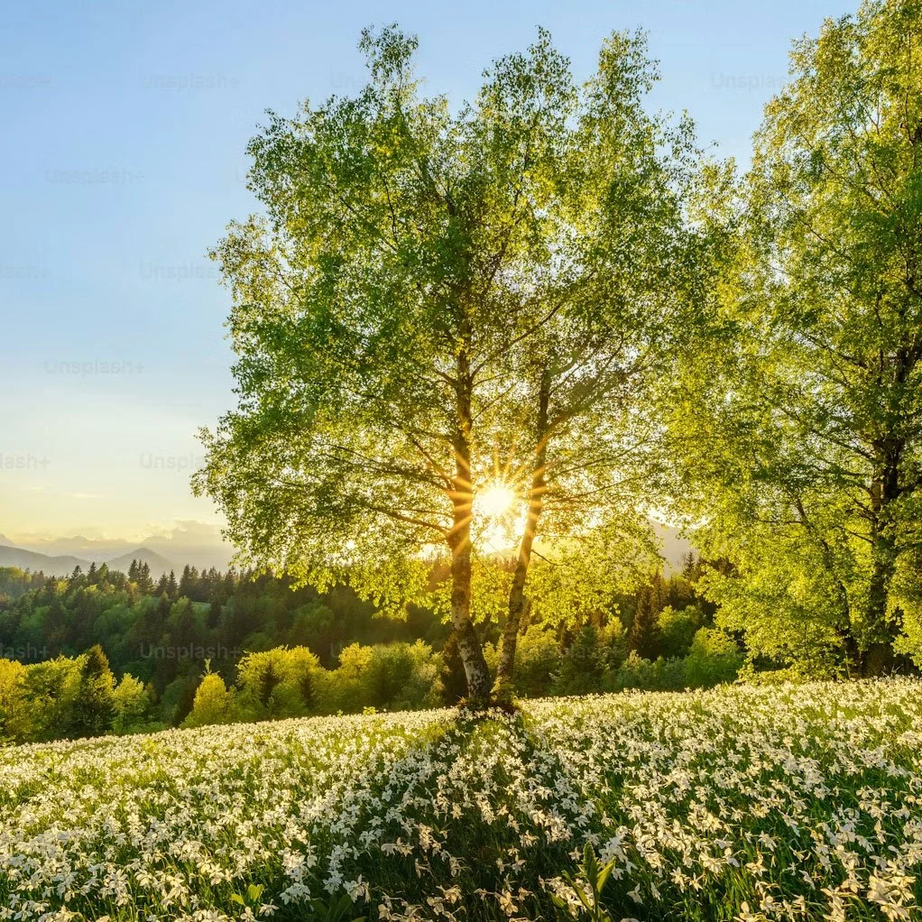 Everyday is a Good Day