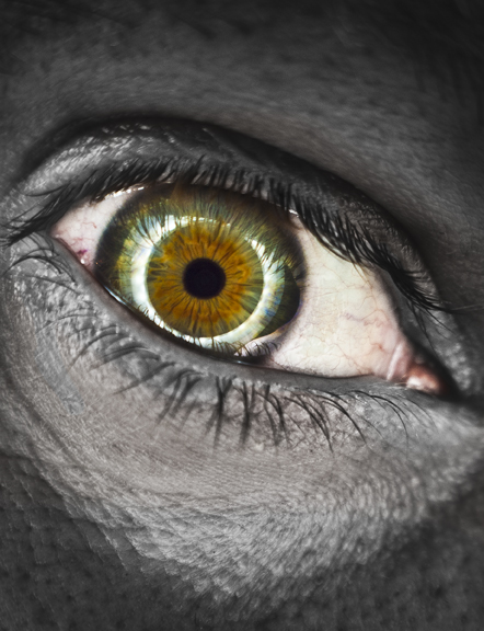 eye web res.jpg