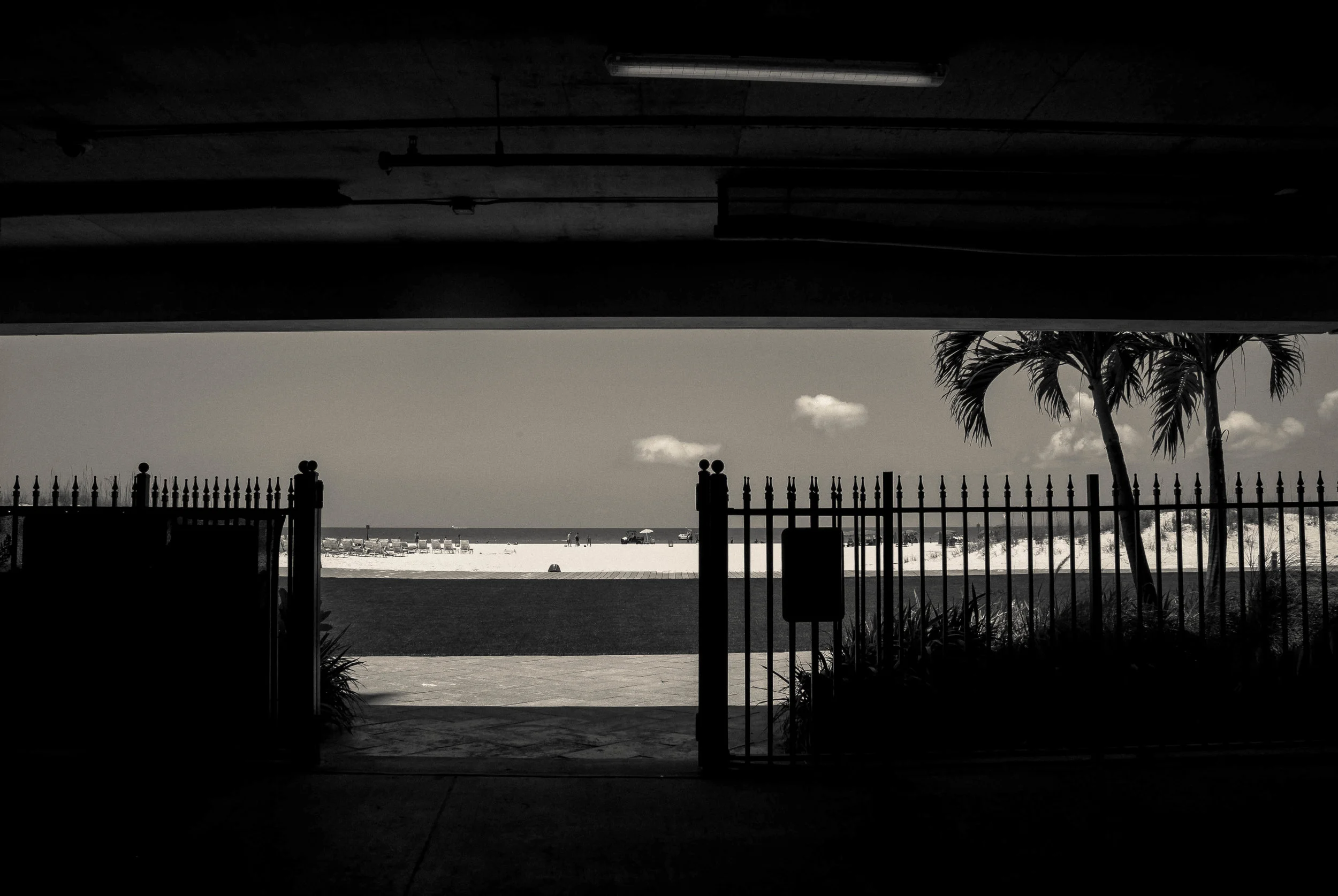 Life'sAFeeling - Hidden in The Shadows, Clearwater Beach, FL_.jpg