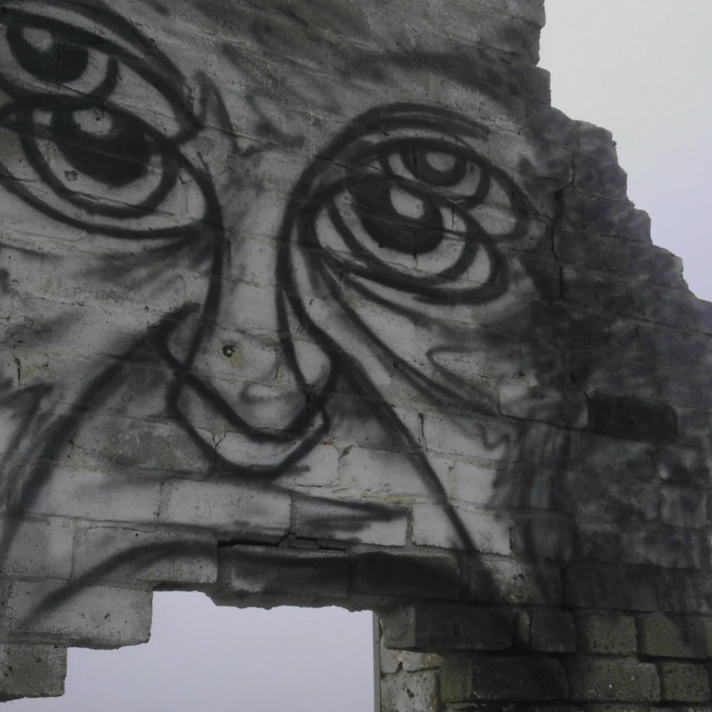 1 can ultra generic black spray paint from home depot.... 99 cents a dilapidated structure to paint on with zero concern for the law...priceless so i hope you've enjoyed this brief look at some work outside and find yourself inspired to put down your palm pilot and go outside to play
