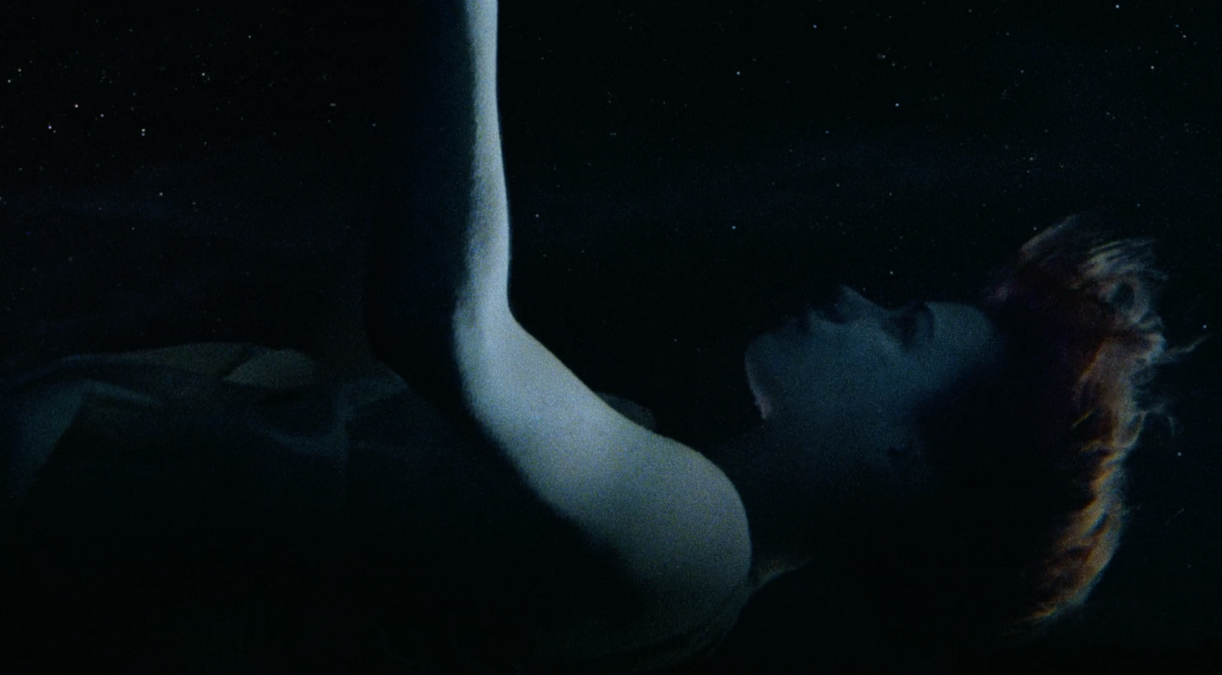 Screen Shot 2019-02-27 at 9.22.17 AM.png