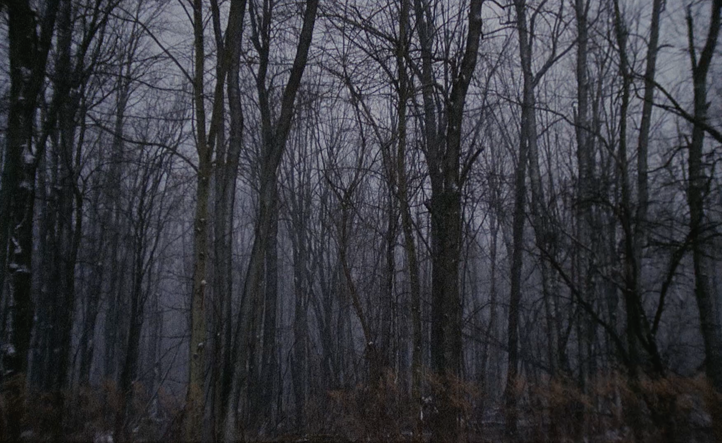 Screen Shot 2020-10-14 at 12.41.39 PM.png