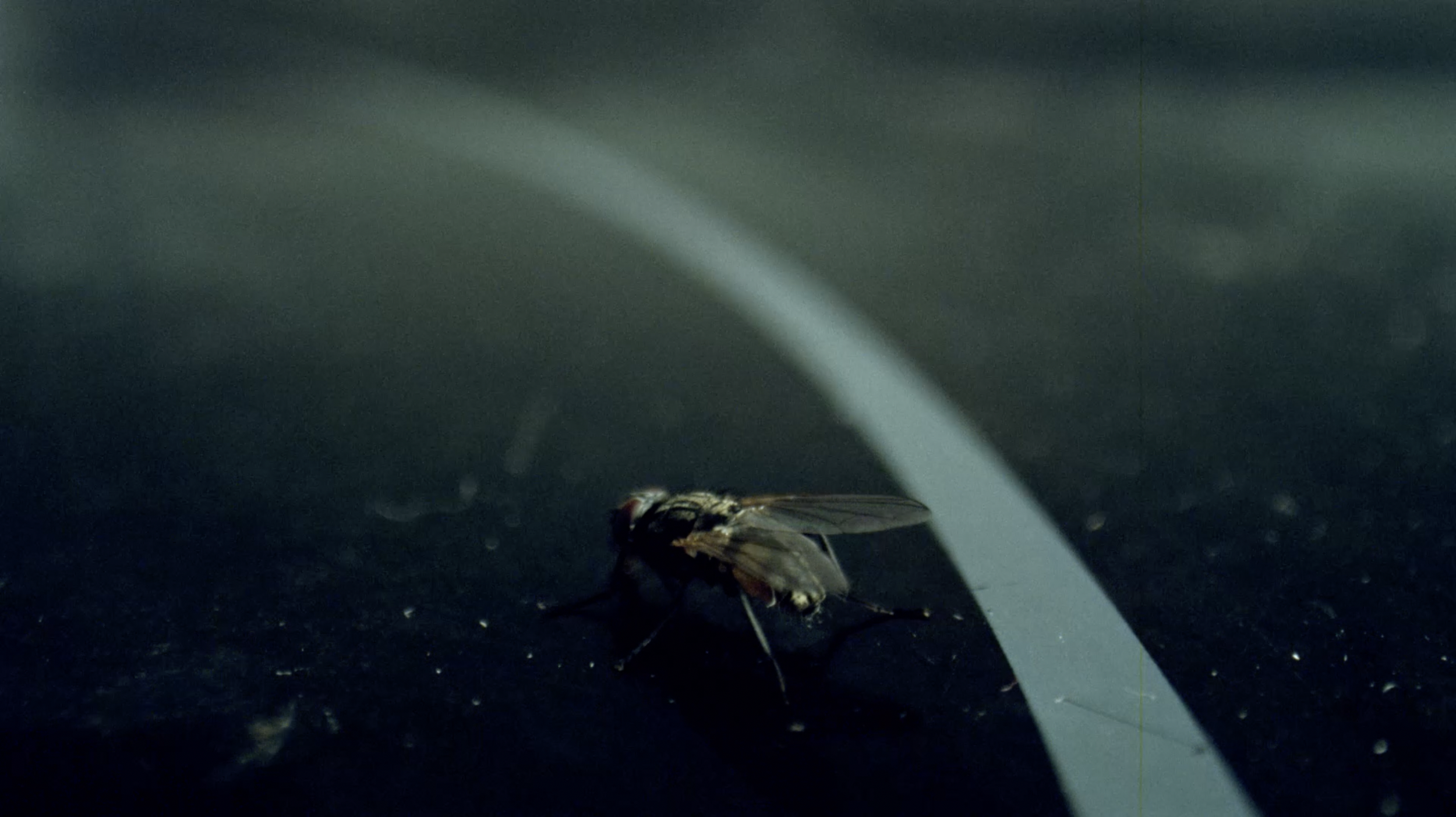 Screen Shot 2024-06-15 at 11.26.41 AM.png