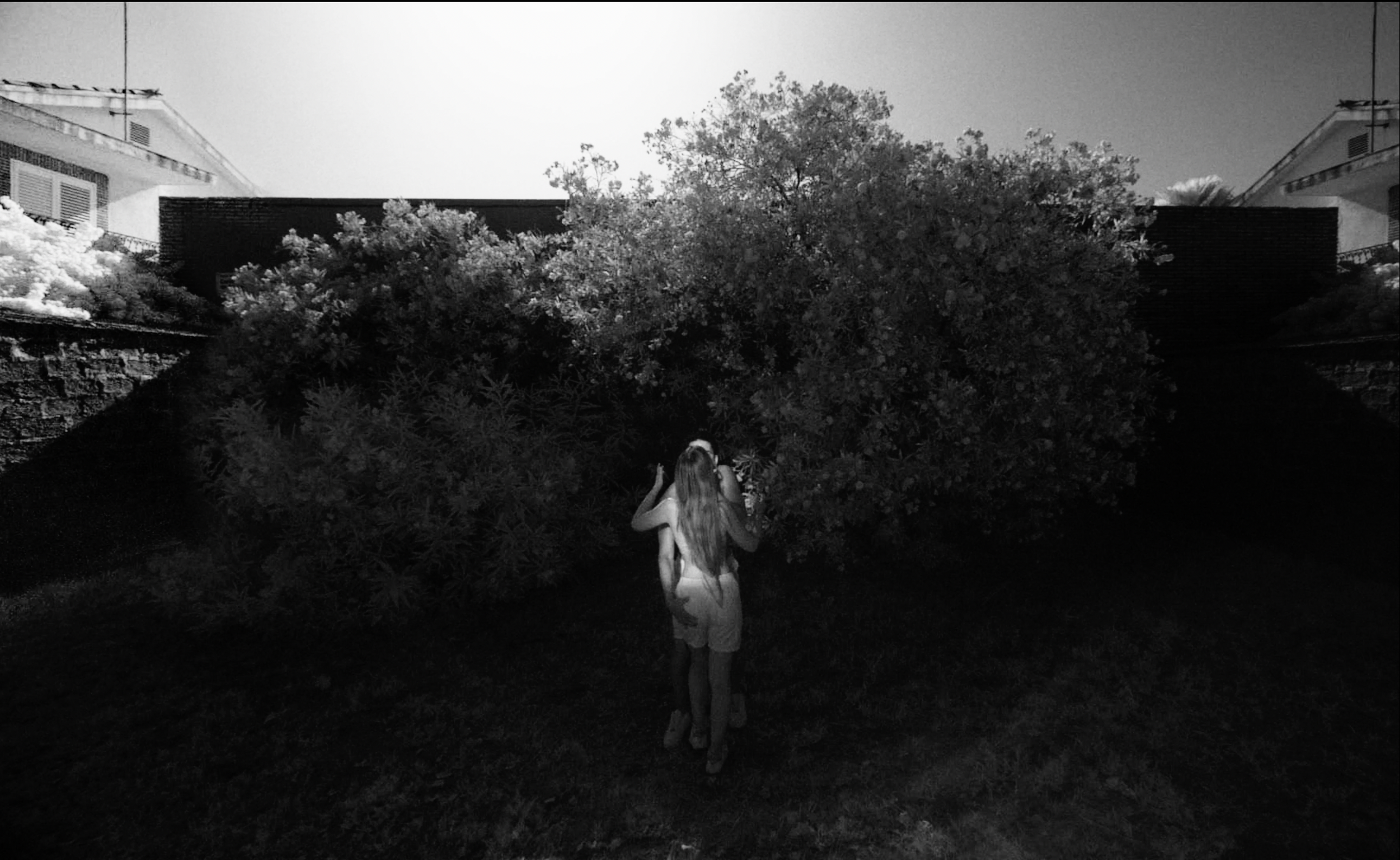 Screen Shot 2024-11-30 at 12.56.43 AM.png