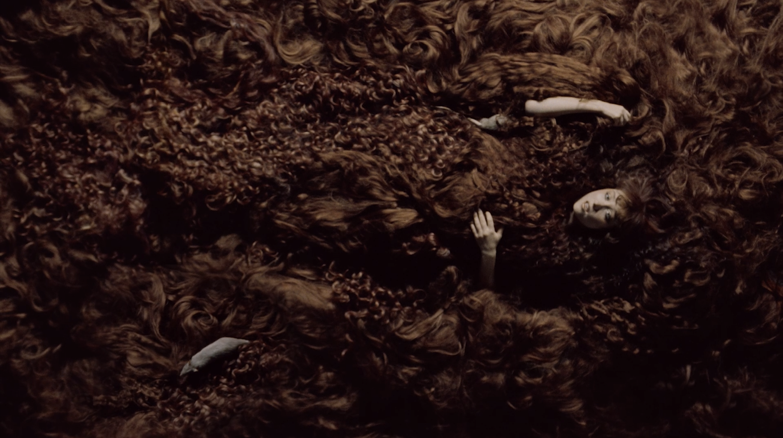 Screen Shot 2025-08-06 at 1.16.04 PM.png