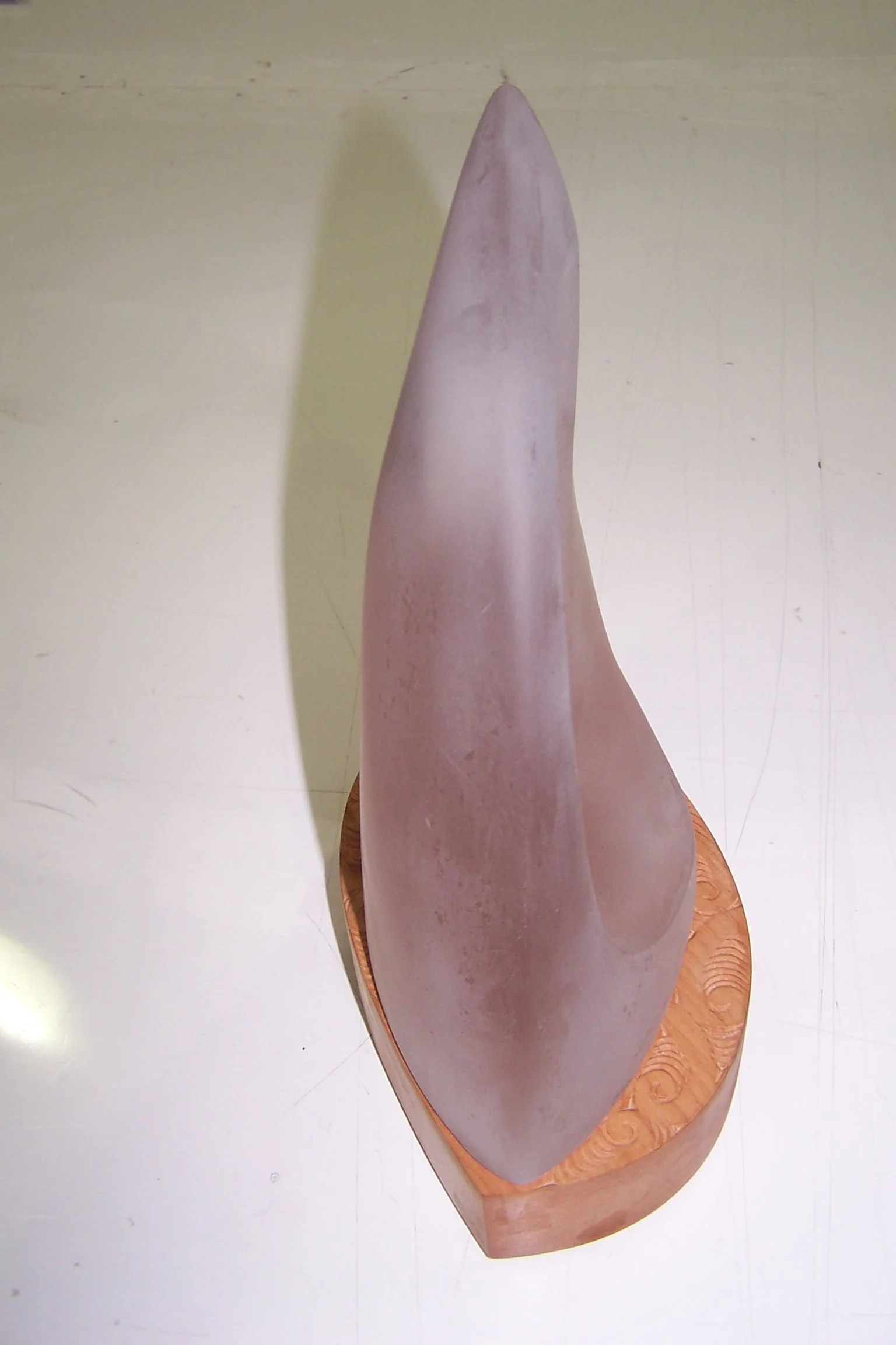 iris5.jpg