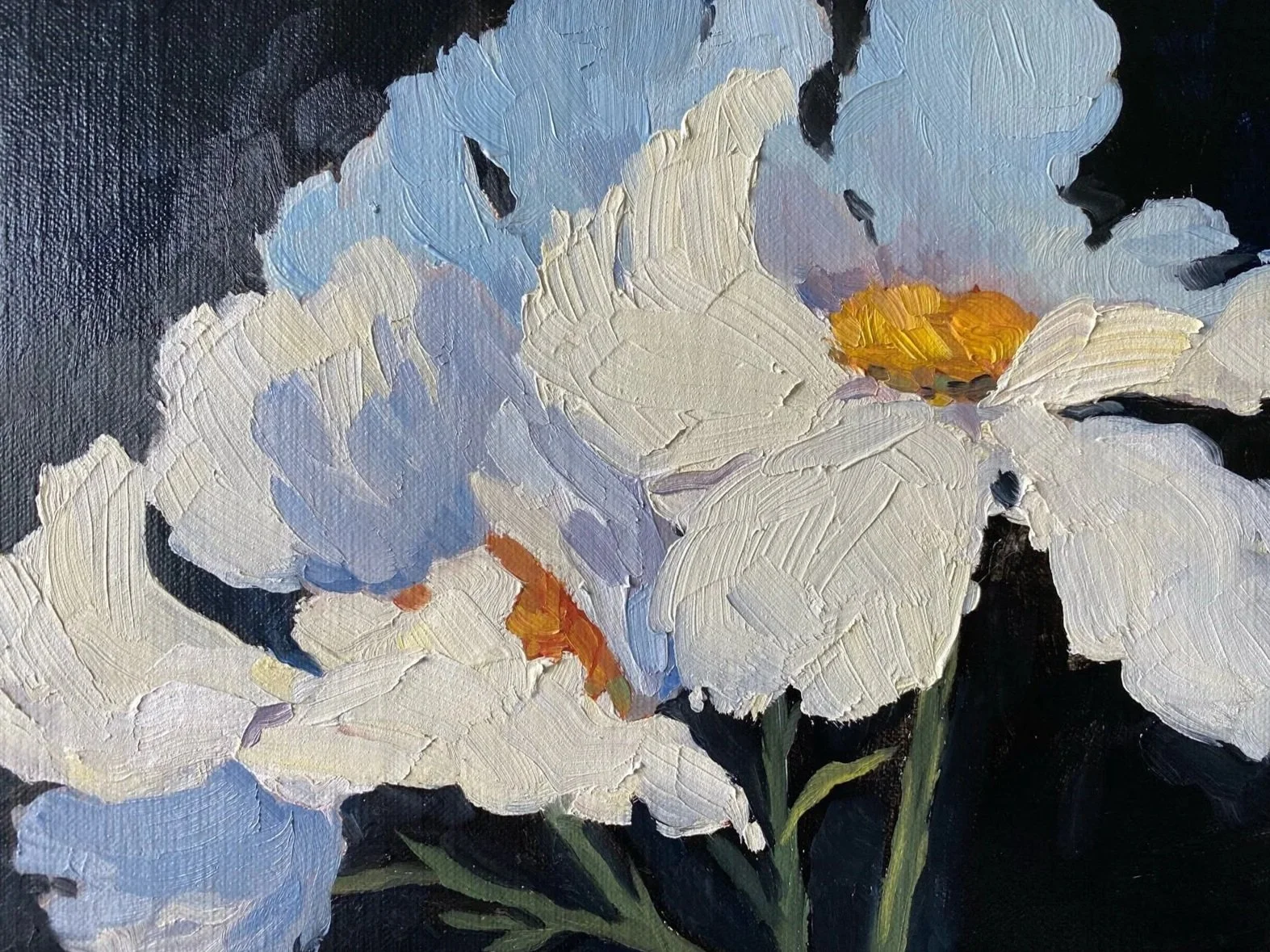 poppies+large.jpg