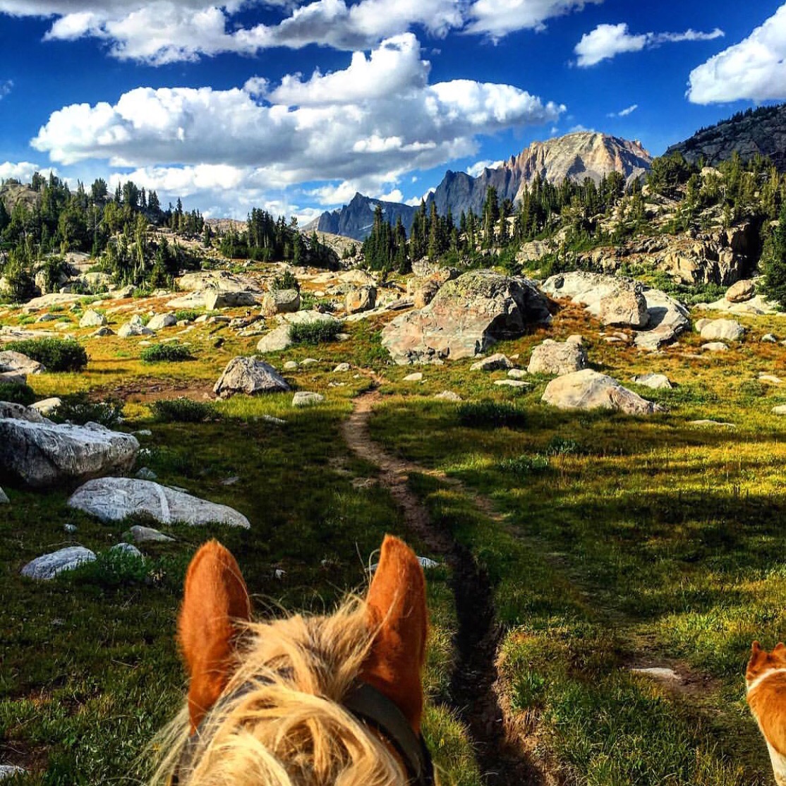 Thanks to 🔷 @alixcritt 🔷 Alix Crittenden of @sleepingindianoutfitters for taking us 13,809 feet up to the Wind River Range in the Rocky Mountains. The Wind River Range encompasses an area of 2.25 million acres and forms a triple divide for three major western watersheds: the Columbia River, the Colorado River, and the Missouri. The Winds are the most popular section of the Bridger Wilderness of western Wyoming. This rugged piece of the Rocky Mountains, extending for approximately 80 miles along the western slope of the Continental Divide, contains a unique combination of jagged granite rock, alpine forest, and open alpine meadows. Serving as the headwaters for the mighty Green River, this wilderness holds 7 of the 10 largest glaciers in the Lower 48, more than 2,300 crystalline lakesand ponds, and numerous glacier-carved cirques, kettles, valleys, and hanging troughs. Season The high country typically opens up around mid-July and remains open through mid-September. Snow can occur at any time, however, and visitors should be prepared for the possibility of subfreezing daytime and night temperatures even in the summer. Afternoon thunderstorms, with lightning and rain showers, are common during the summer, and some of the peaks hold snow all year. Source: http://www.sleepingindianoutfitters.com http://www.visitpinedale.org/explore/mountain-ranges/wind-river-mountain-range Tag your photo #lifebetweentheears for a chance to be featured. Ride On! #theworldfromasaddle #rideon #equestriangreetingcards #penandpaper #snailmail #bestequestriangifts #tinyvacationinabox #pinterest #equestrianphotography #rockymountains #windriverrange #tetons #thankyou #sleepingindianoutfitters #alixcrittenden