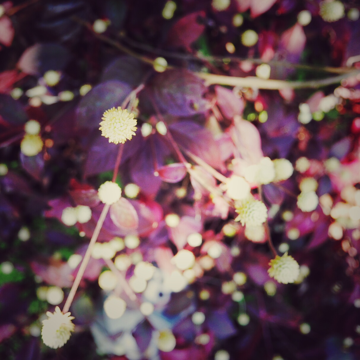 20160116160233-01.jpeg