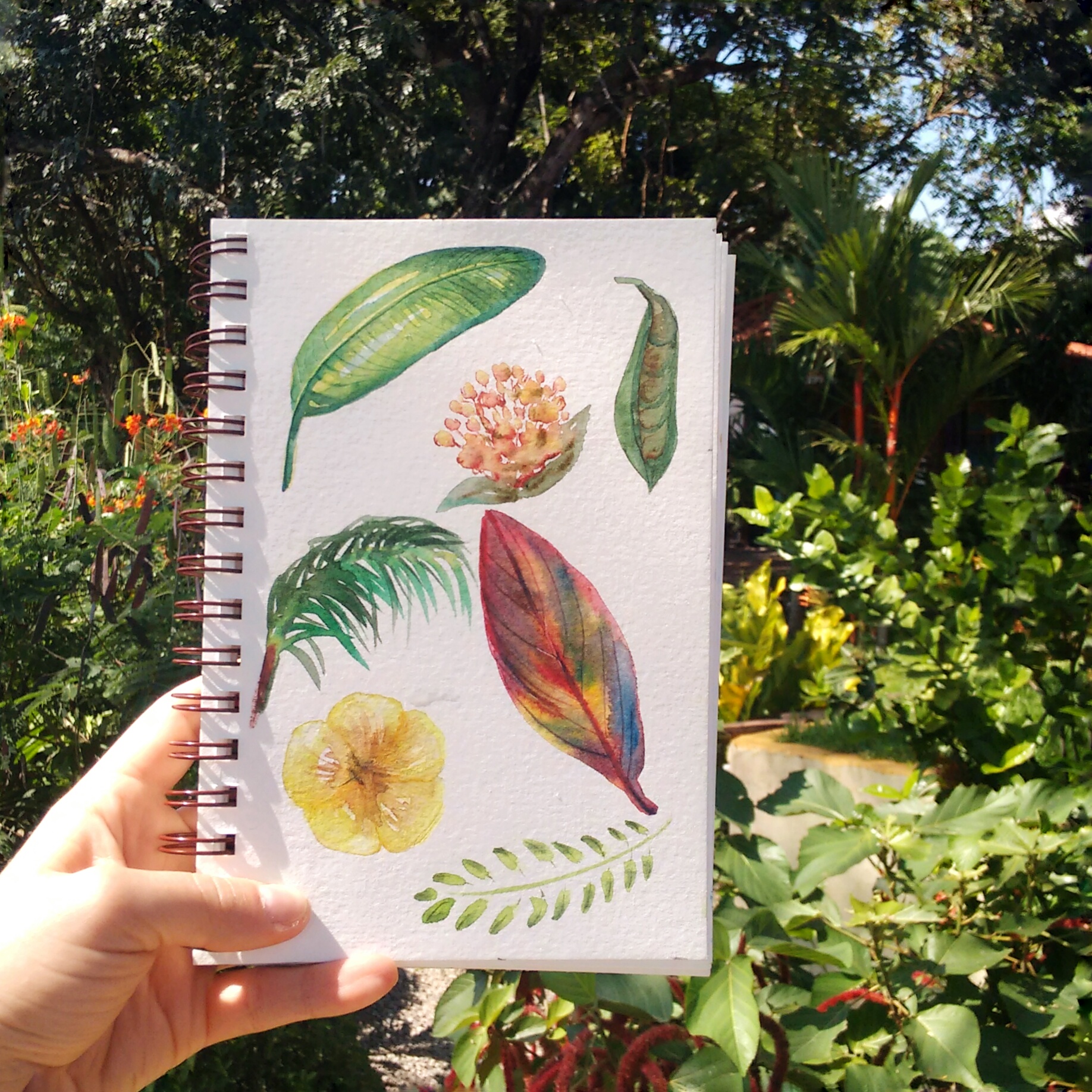 Inspired by the impermanence of the nature that surrounds me. 